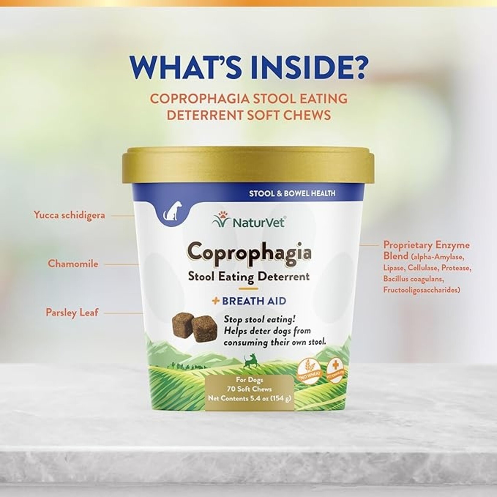 NaturVet NaturVet Coprophagia Stool Eating Deterrent Soft Chews 70ct