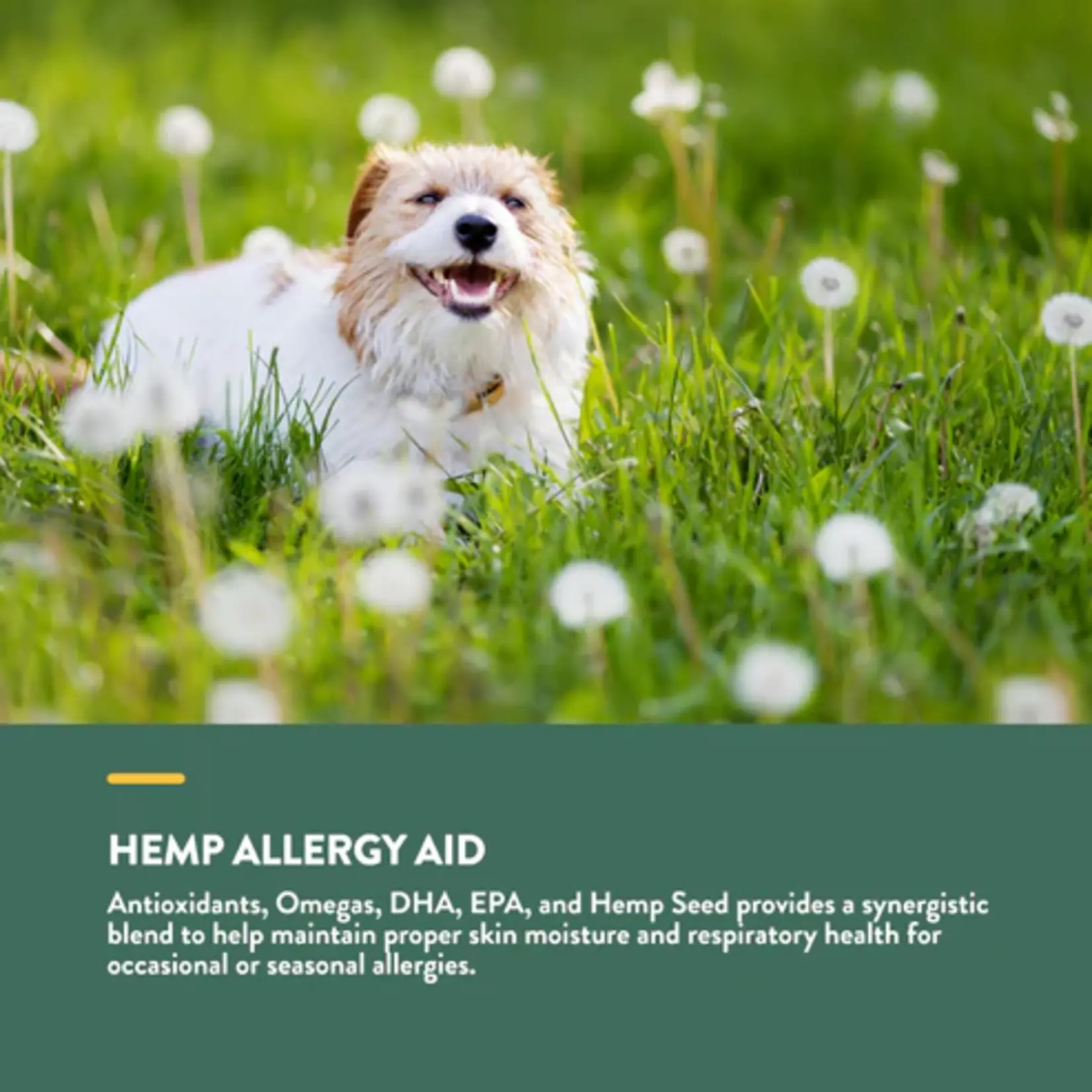 NaturVet NaturVet Hemp Allergy Aid + Hemp Seed Soft Chews 60ct
