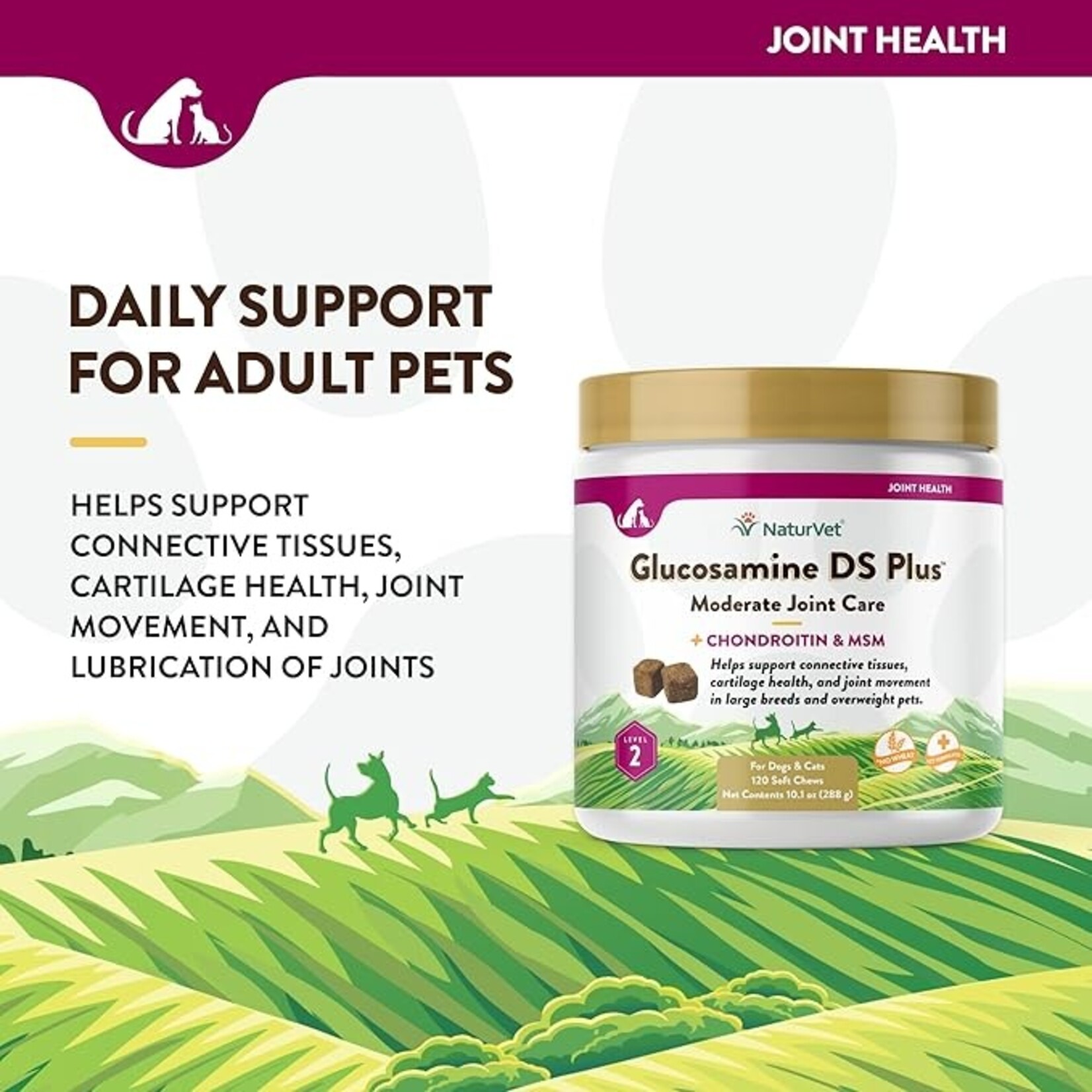 NaturVet NaturVet Glucosamine DS+ Level 2 Soft Chews 120ct Jar