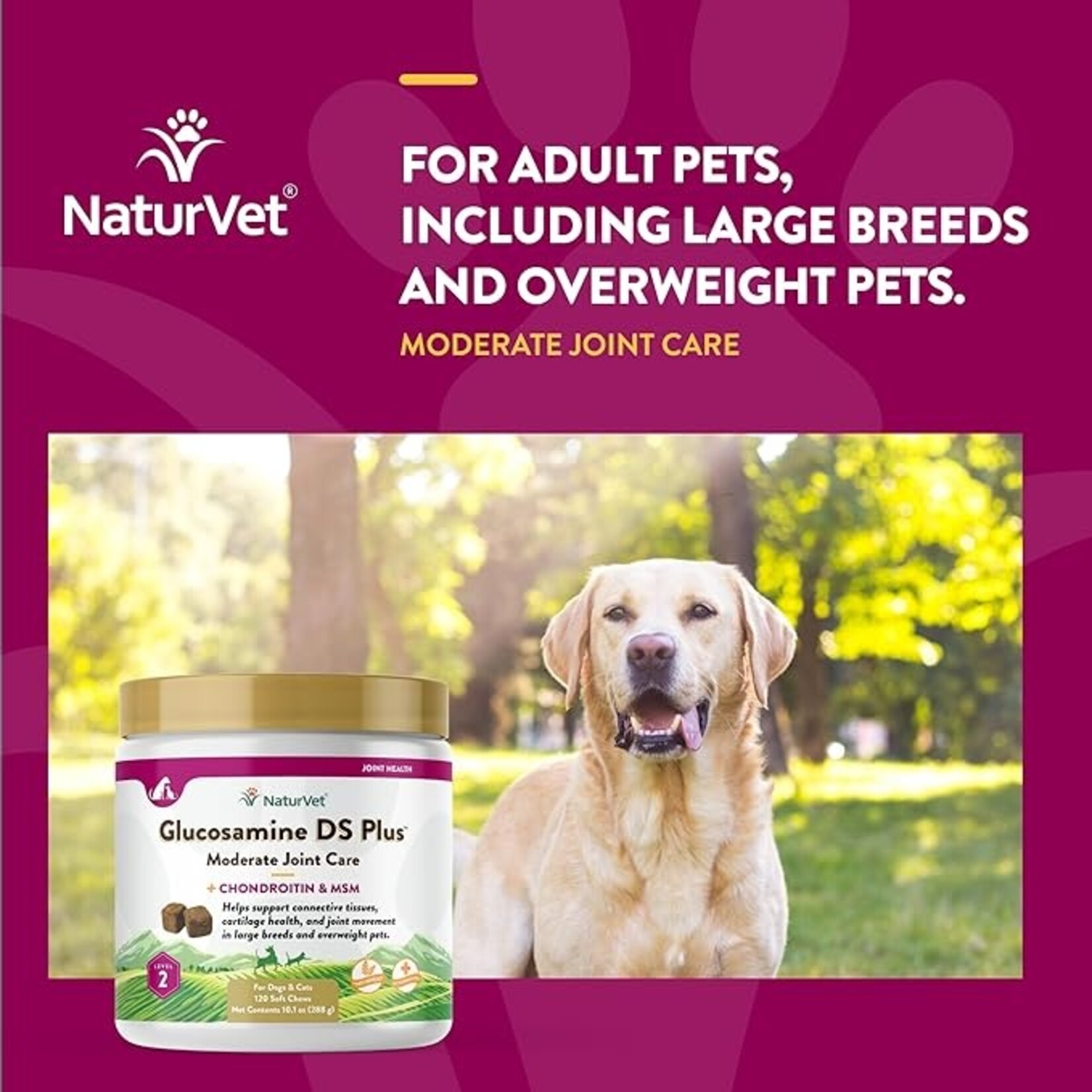 NaturVet NaturVet Glucosamine DS+ Level 2 Soft Chews 120ct Jar