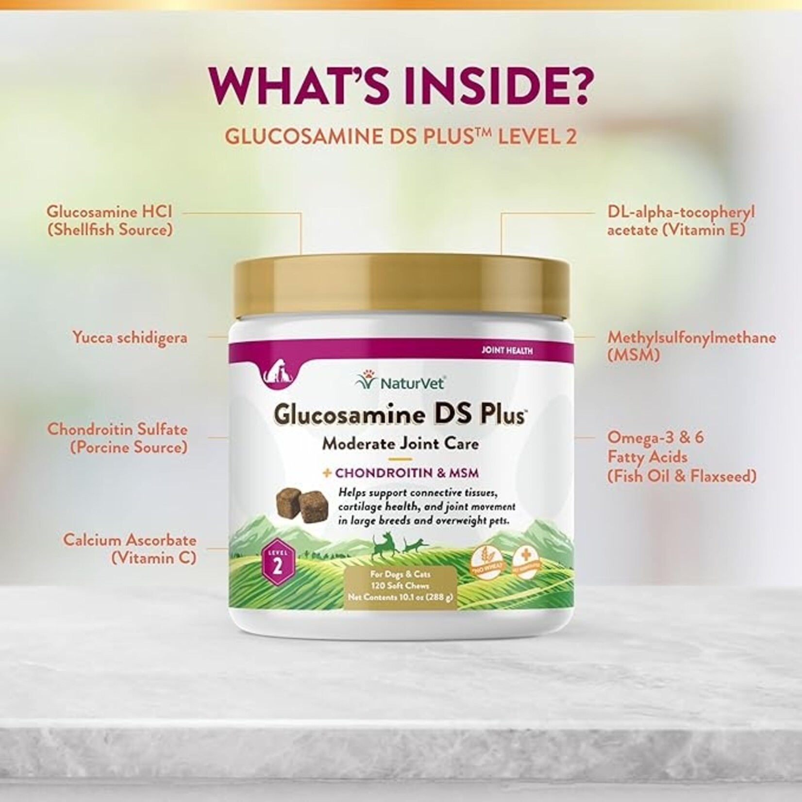 Naturvet glucosamine level 2 sale