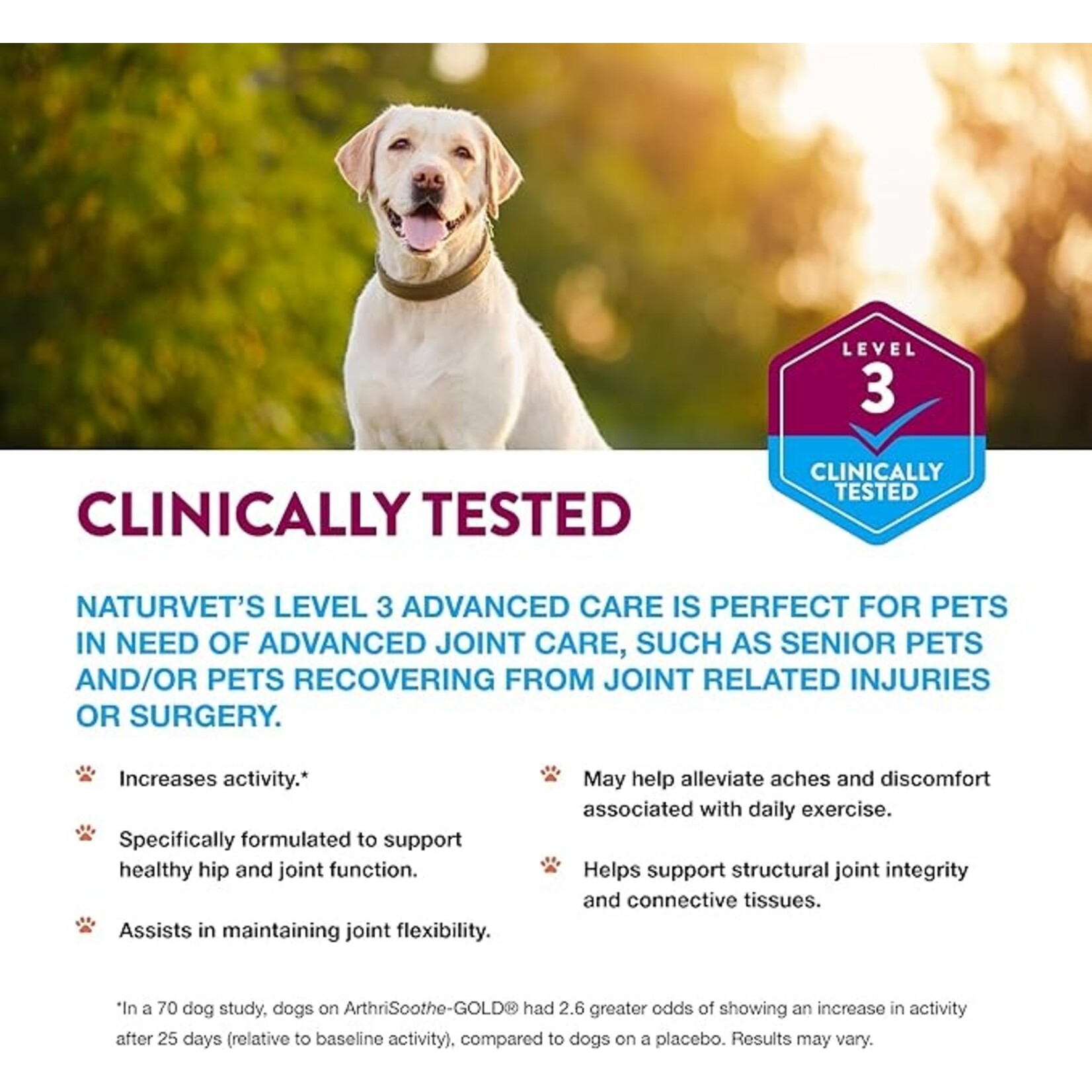 NaturVet NaturVet ArthriSoothe-Gold Advanced Care Soft Chews 70ct