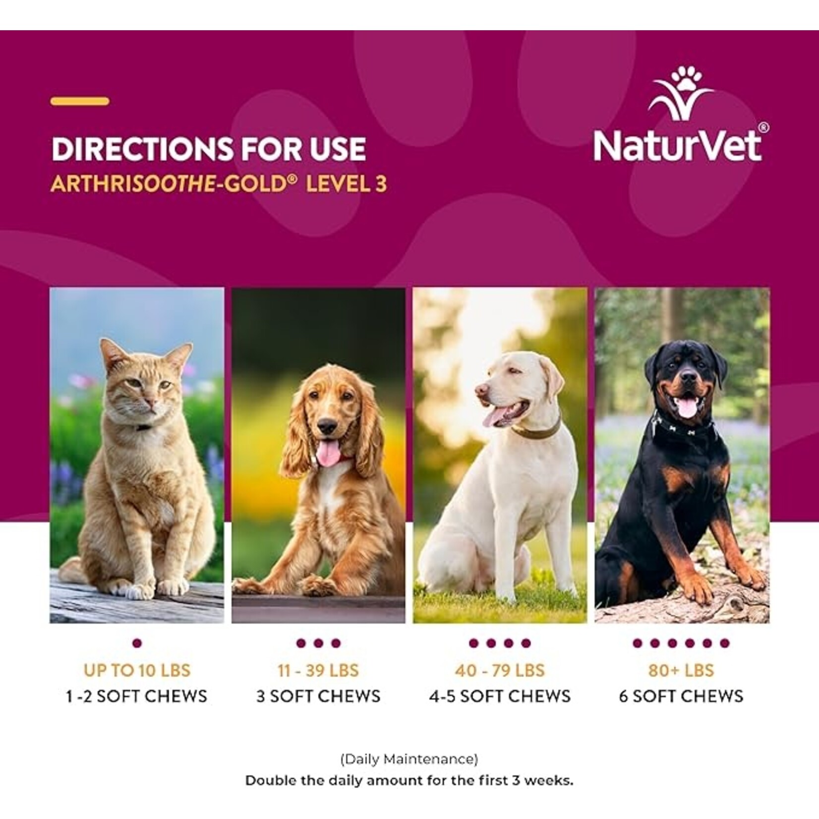 NaturVet NaturVet ArthriSoothe-Gold Advanced Care Soft Chews 70ct