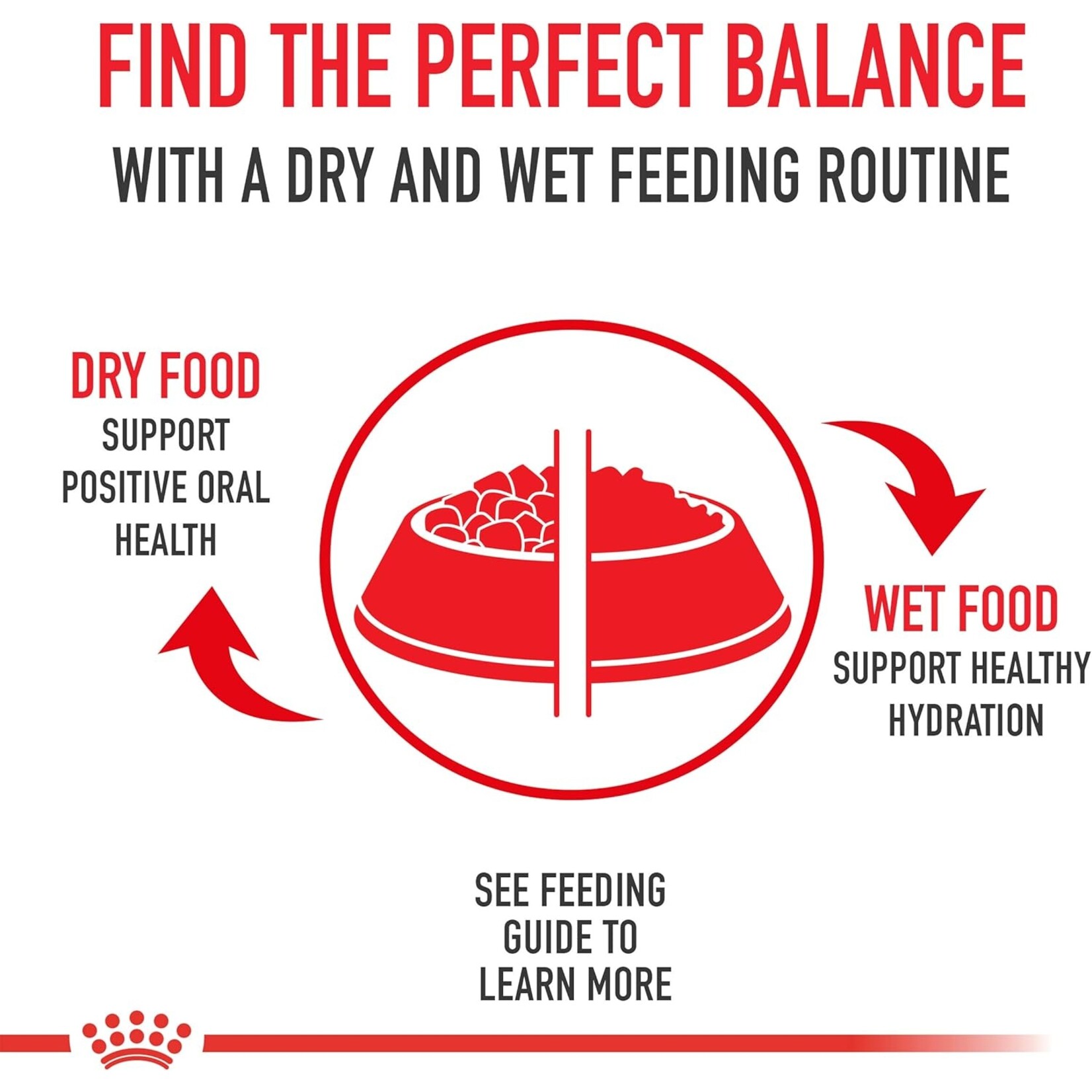 Royal Canin Royal Canin Adult Small 2.5lbs