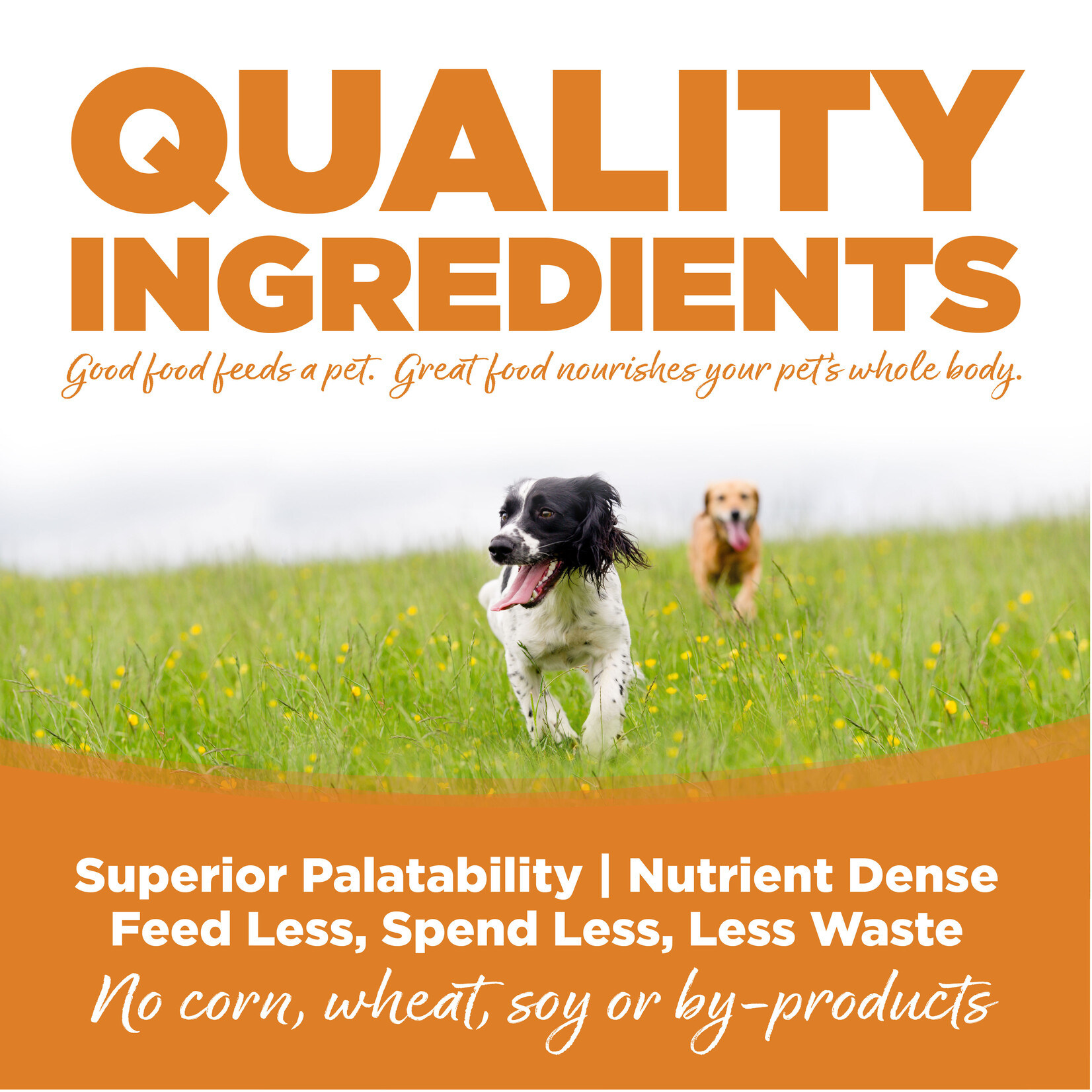 NutriSource NutriSource Lamb Meal & Rice 13oz (case 12)