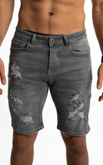 trent denim shorts