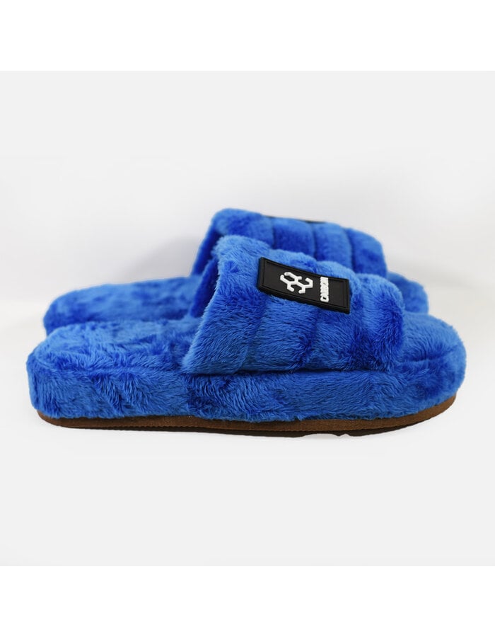 furry slippers