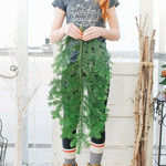 Winter Greens