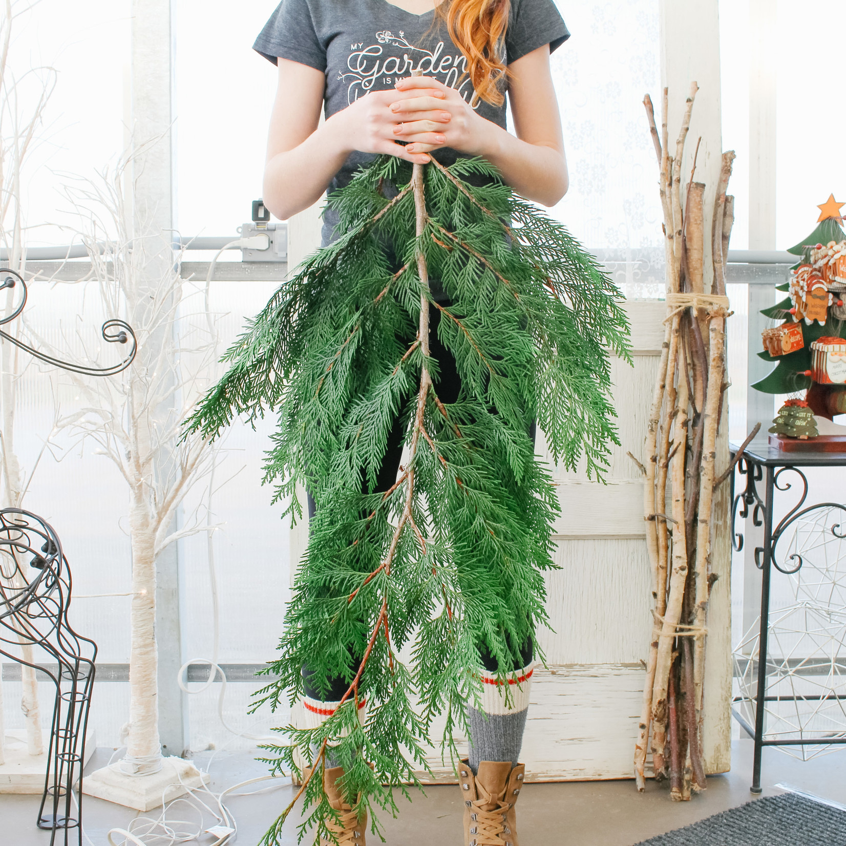 Winter Greens