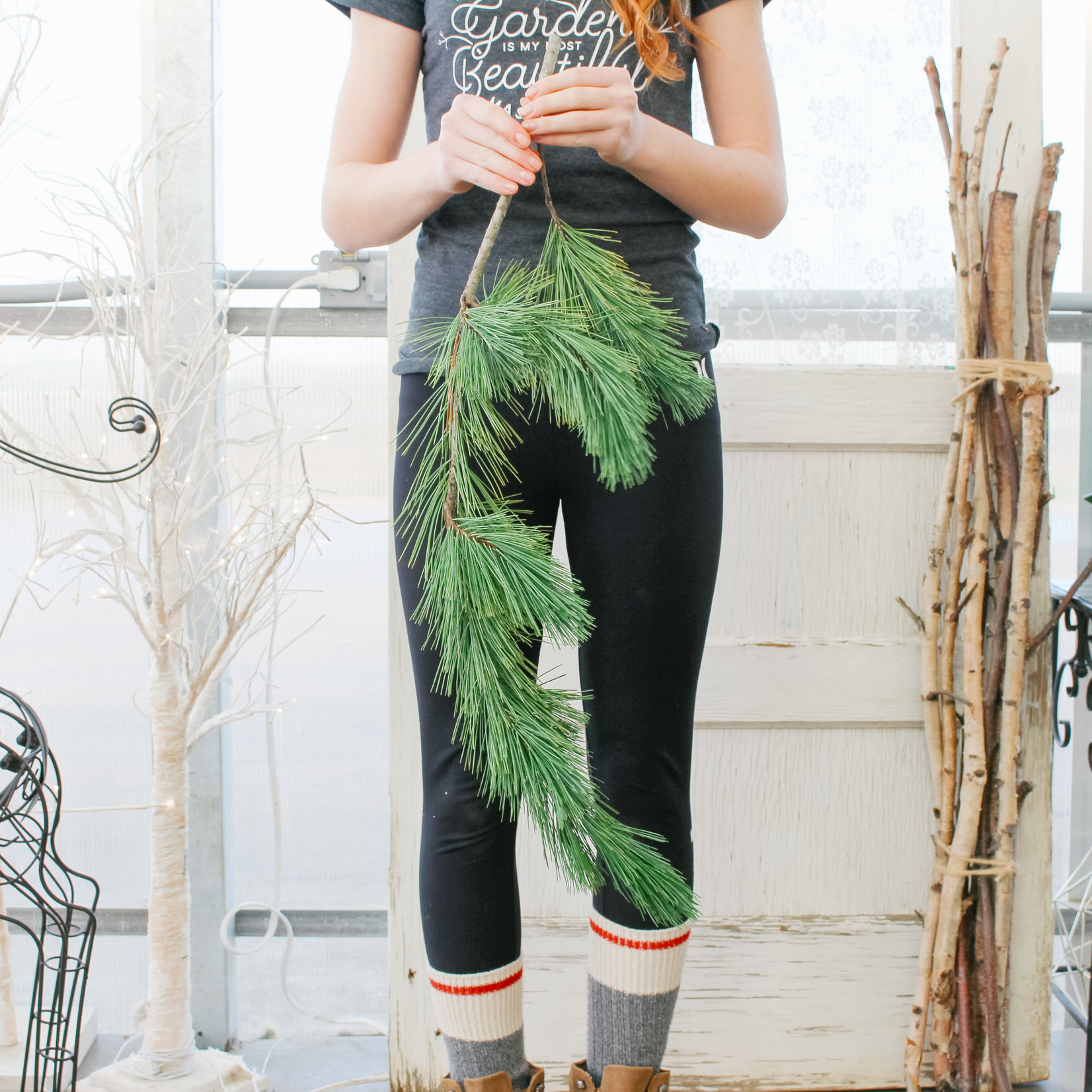 Winter Greens