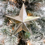 Ornament, Bright Star