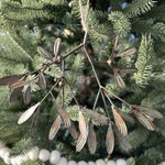 Mistletoe Ornament