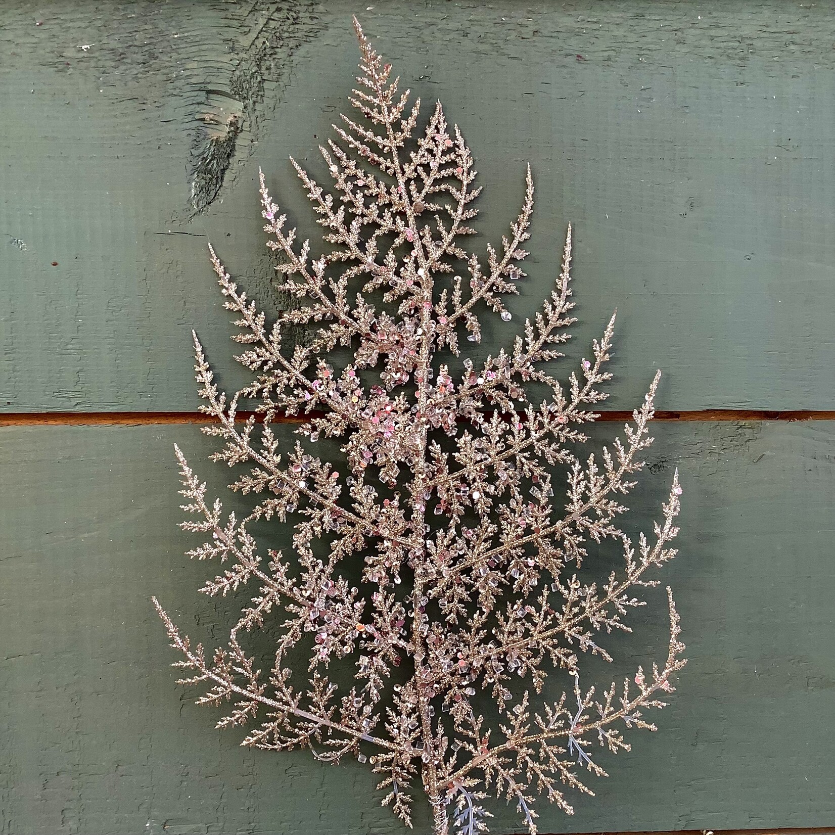 Stem, Fan Leaf Hanging Branch