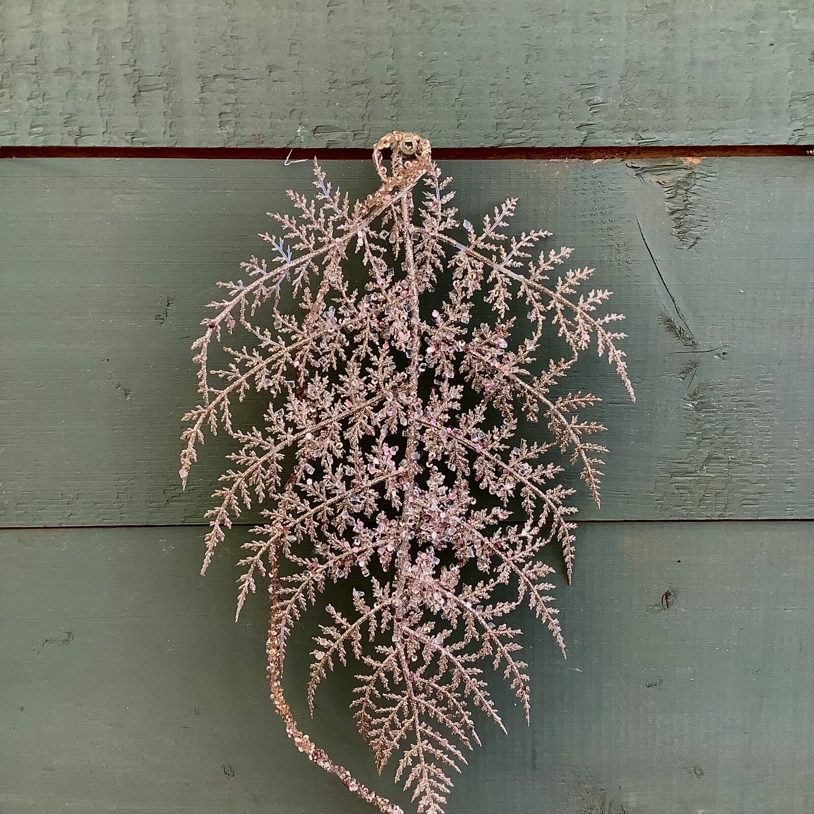 Stem, Fan Leaf Hanging Branch