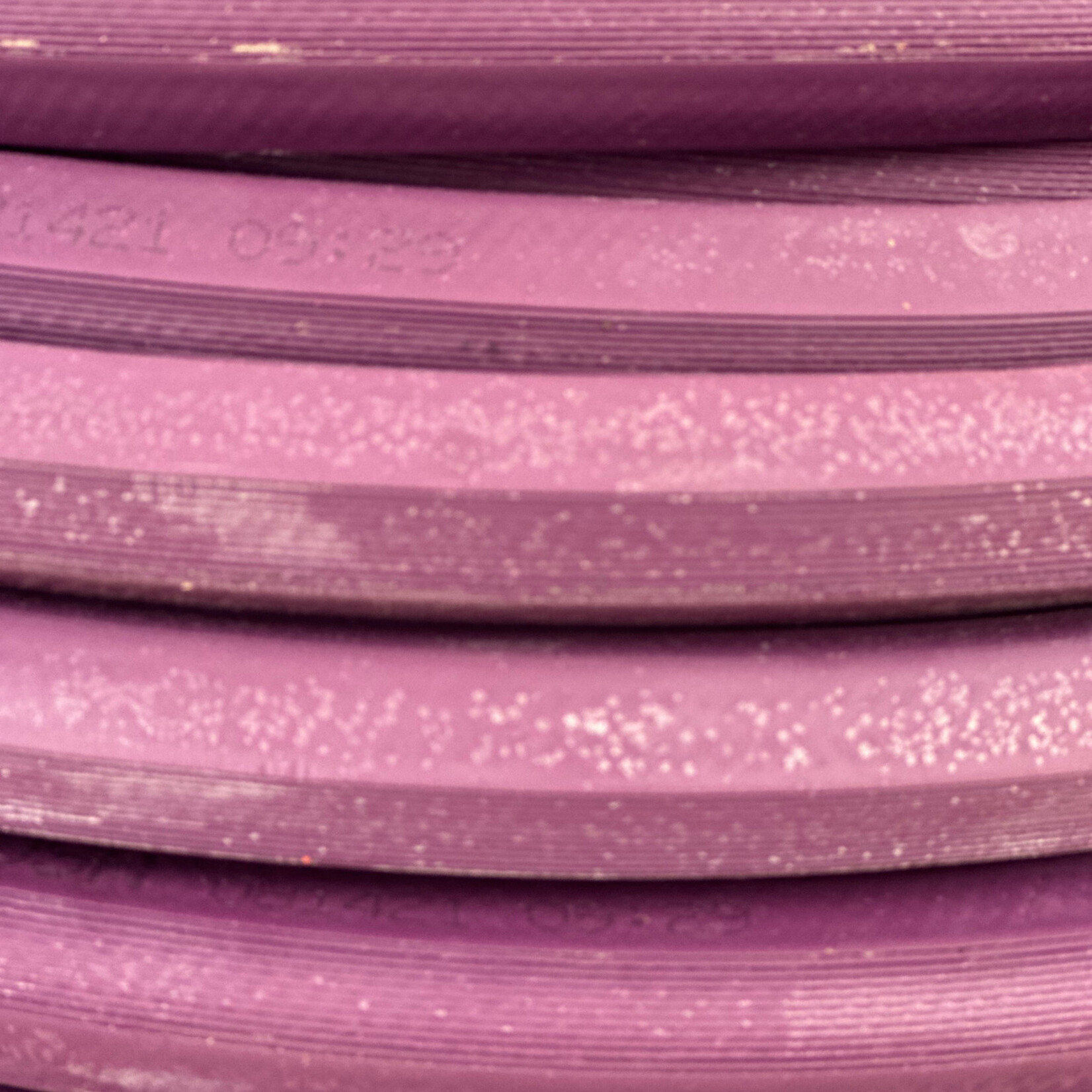 DRAMM Water Hose, 50'