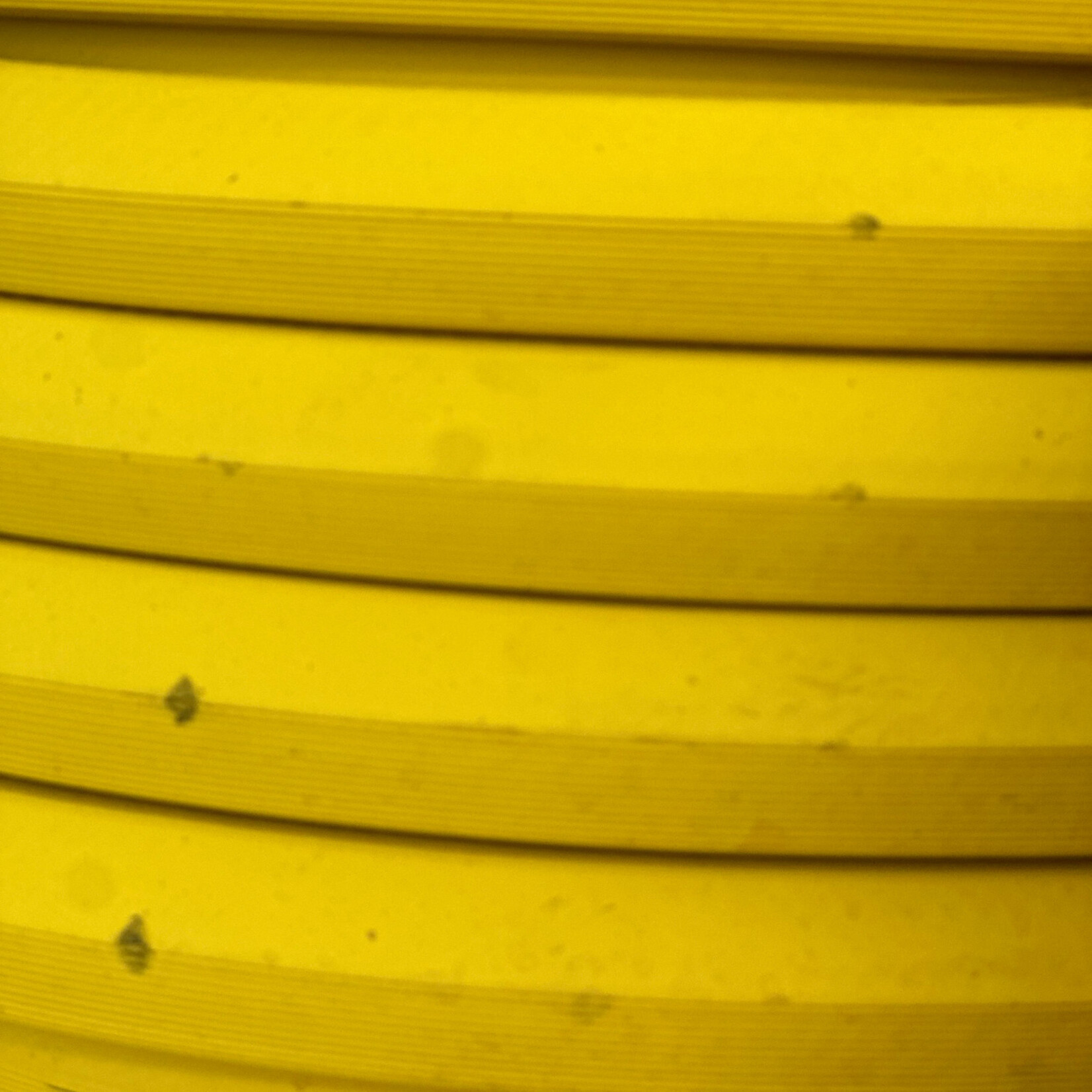 DRAMM Water Hose, 50'