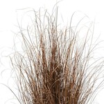 Pre-Book Red Rooster™ ColorGrass® Carex