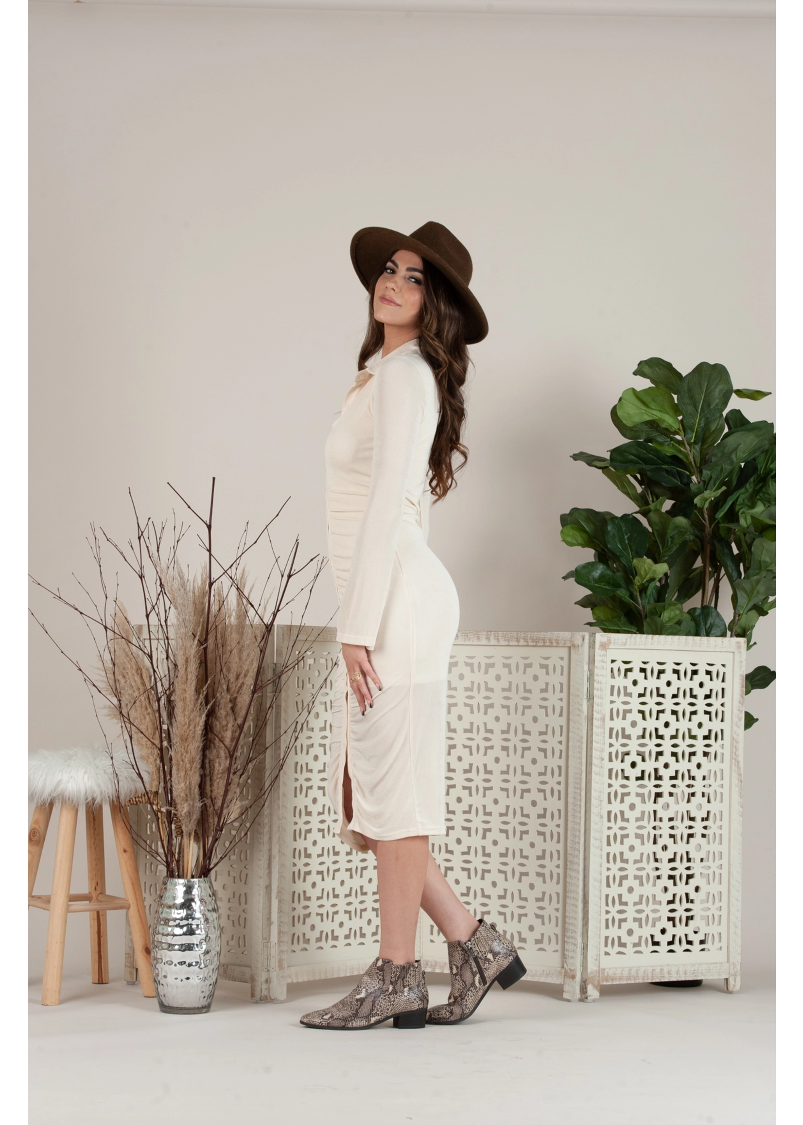 Vanilla Long-Sleeve Button-Up Maxi Dress