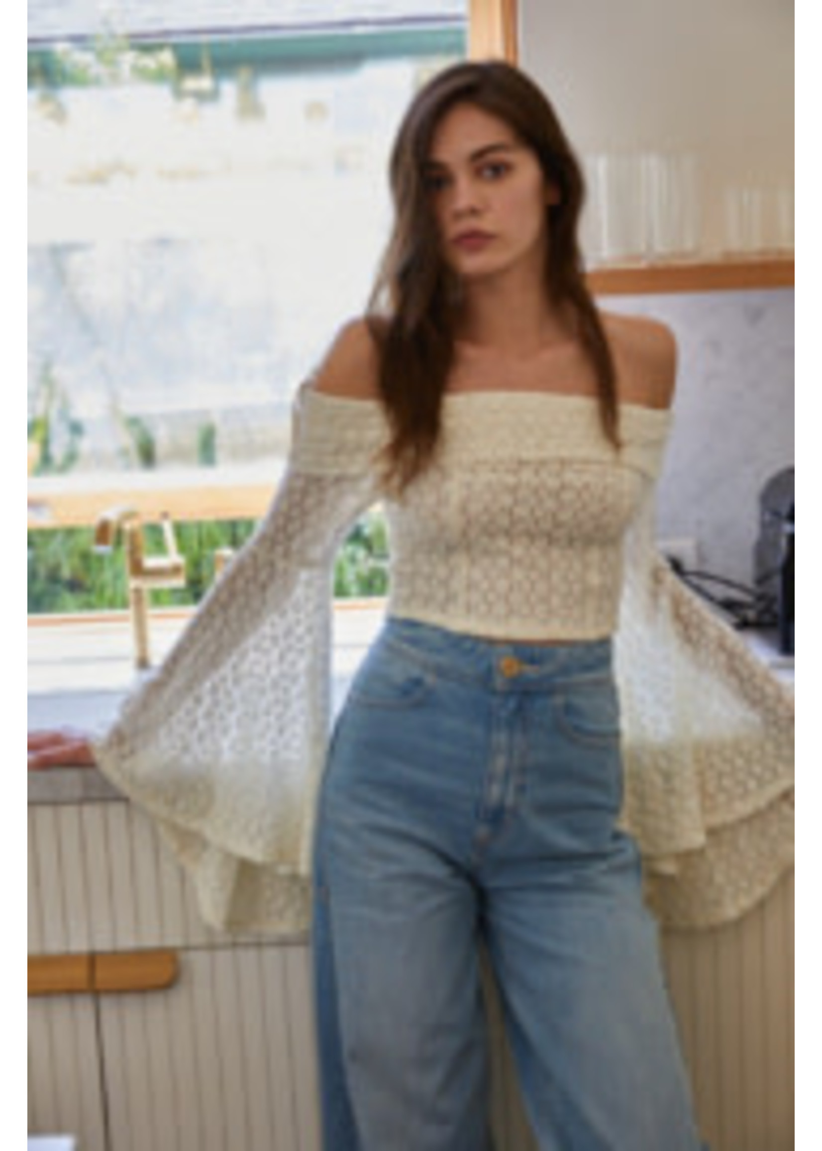 Knit Lace Off Shoulder Crop Top
