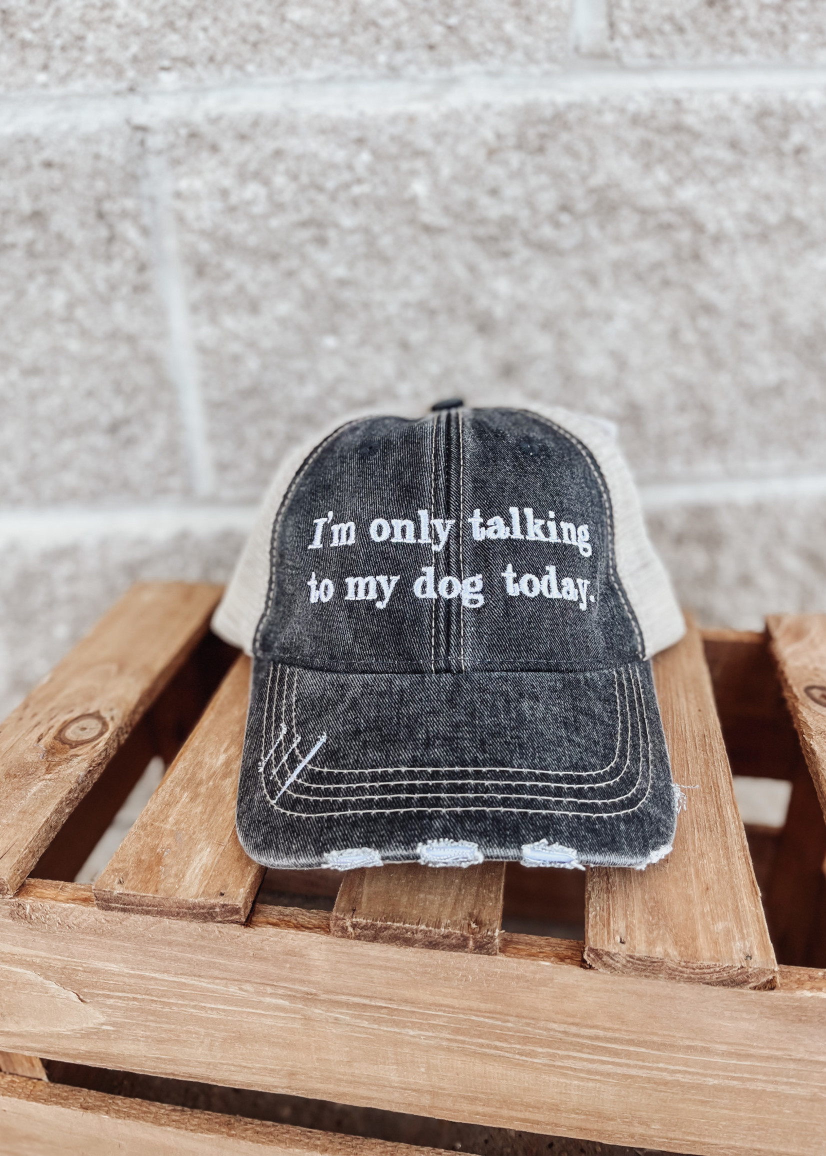 Talking To My Dog Trucker Hat