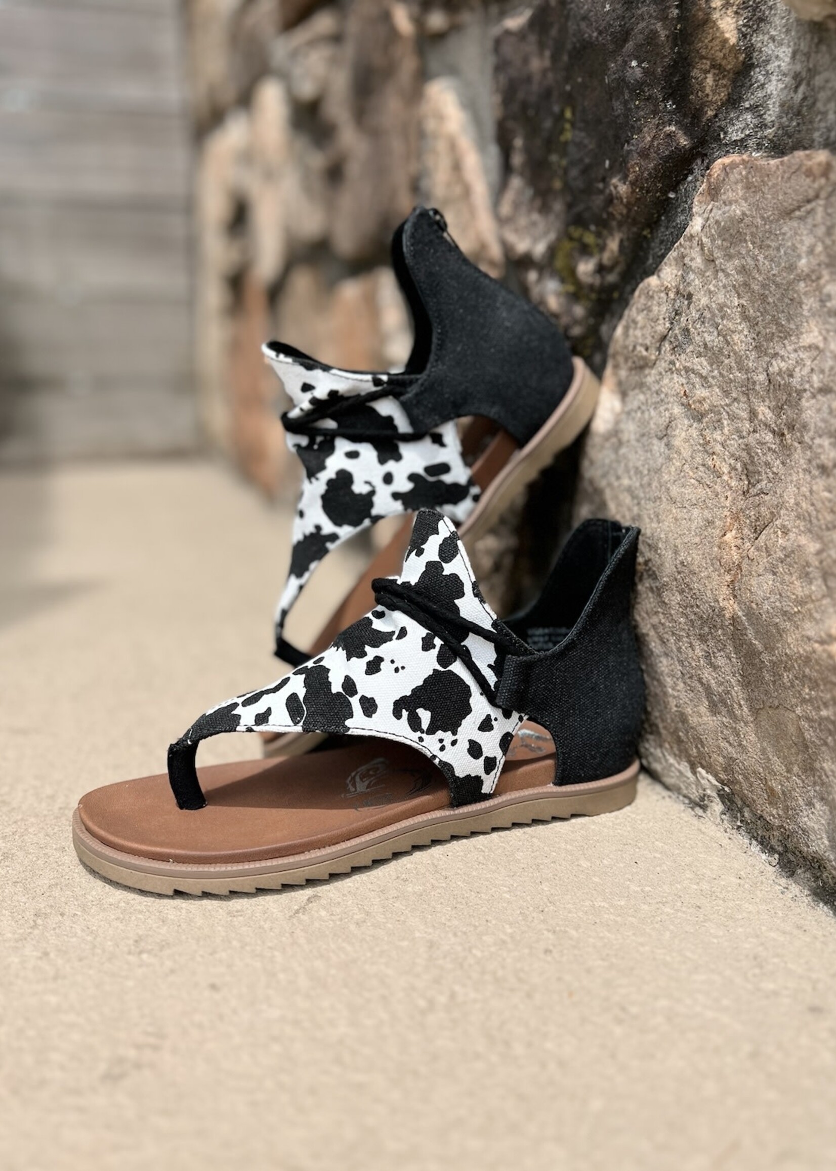 Top more than 187 cow print sandals best