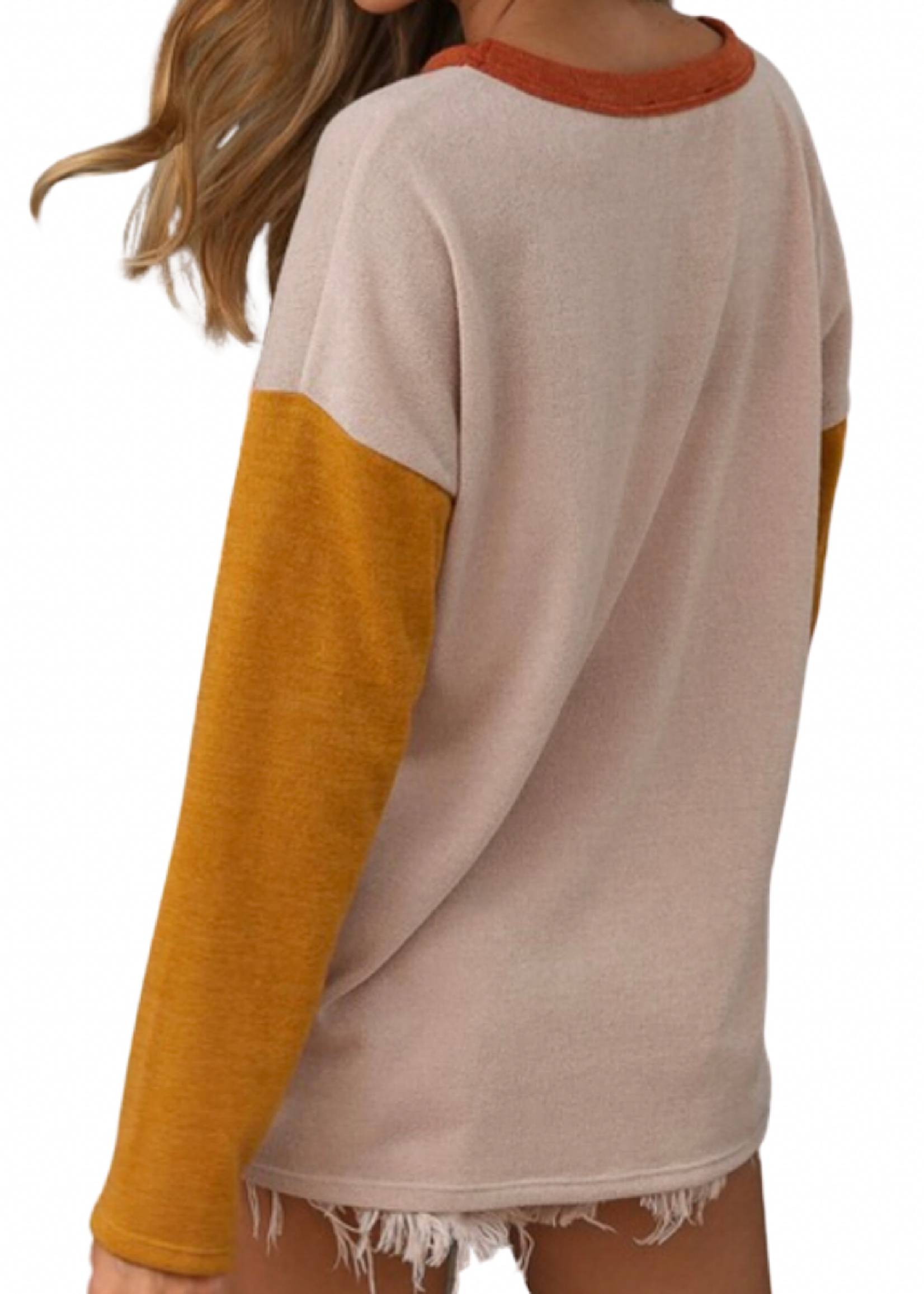 Rust/Olive/Mustard Sweater Knit Color Block Top