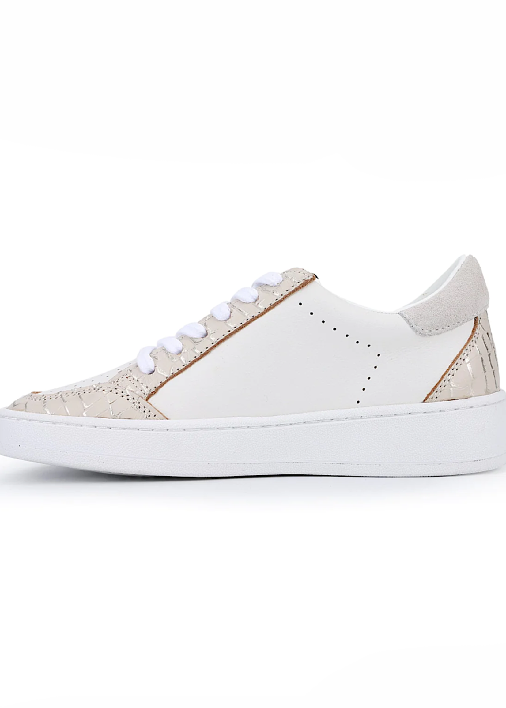 Vintage Havana Denisse White Laced Blush Croco Sneaker Bb