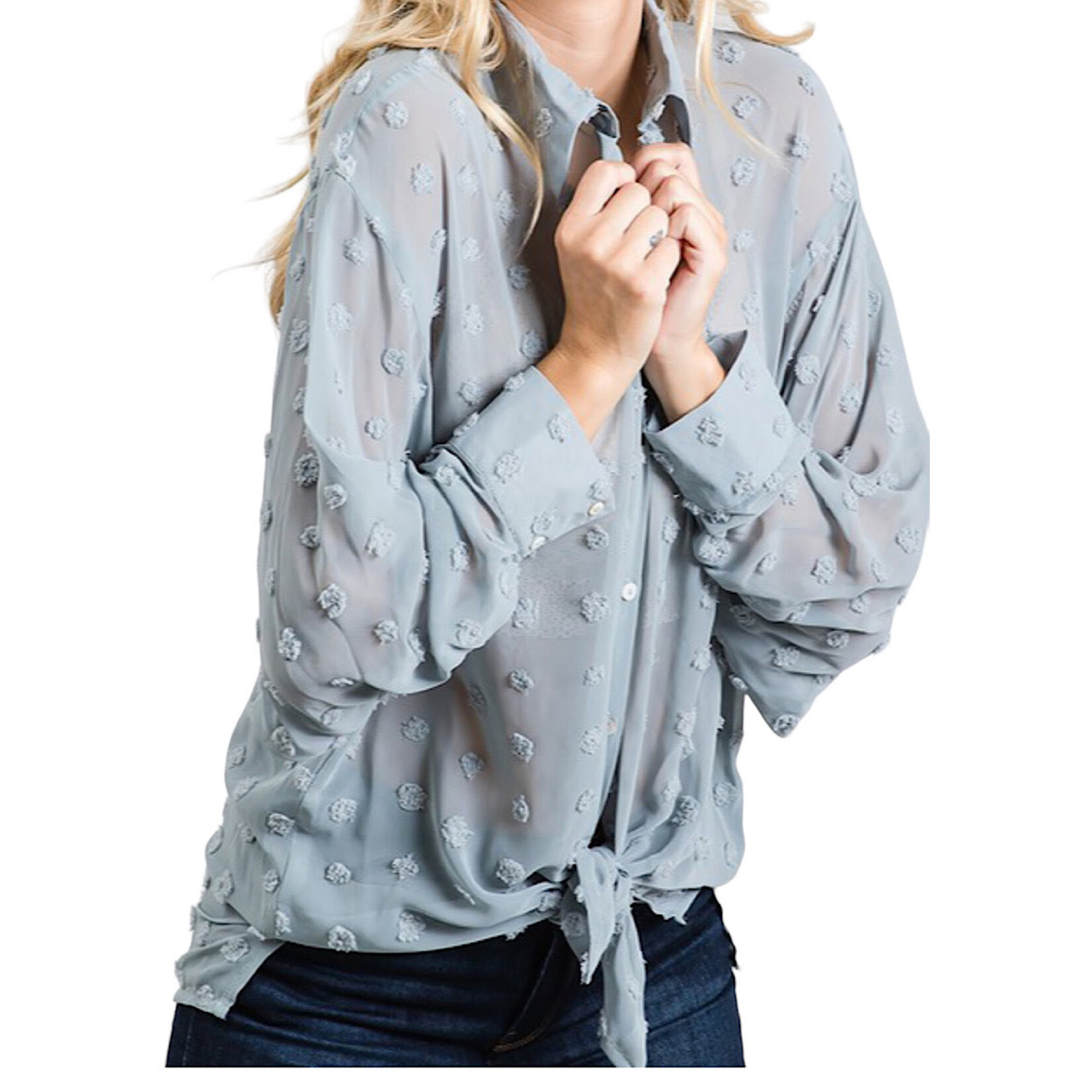 Sage Swiss Dot Chiffon Button Down Shirt Blouse