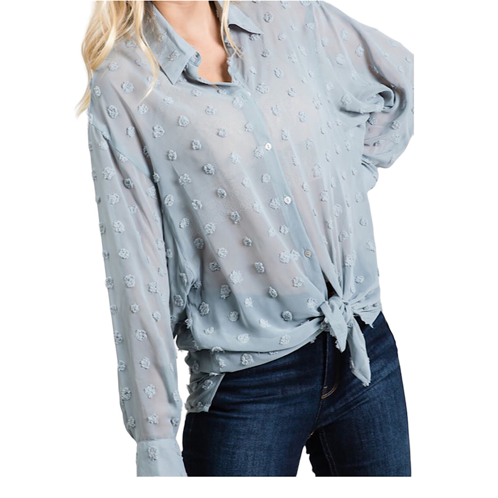 Sage Swiss Dot Chiffon Button Down Shirt Blouse