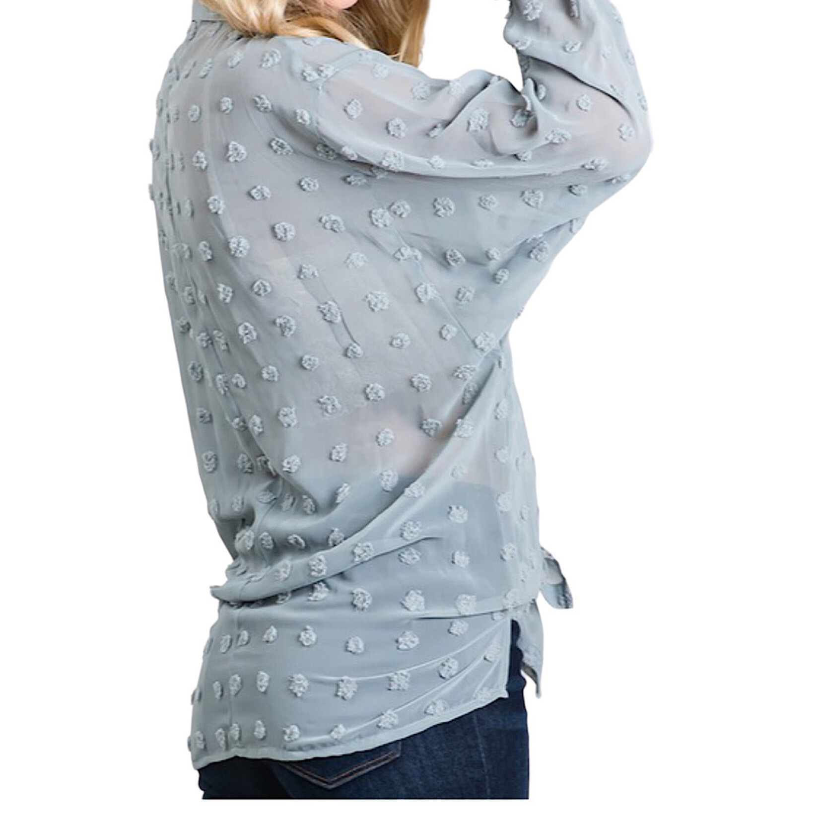 Sage Swiss Dot Chiffon Button Down Shirt Blouse