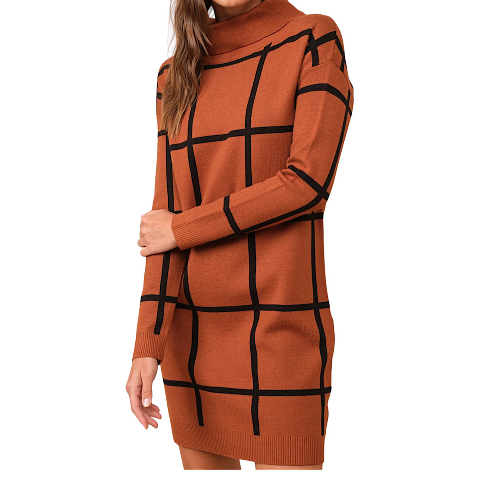Copper Stripe Turtleneck Sweater Dress