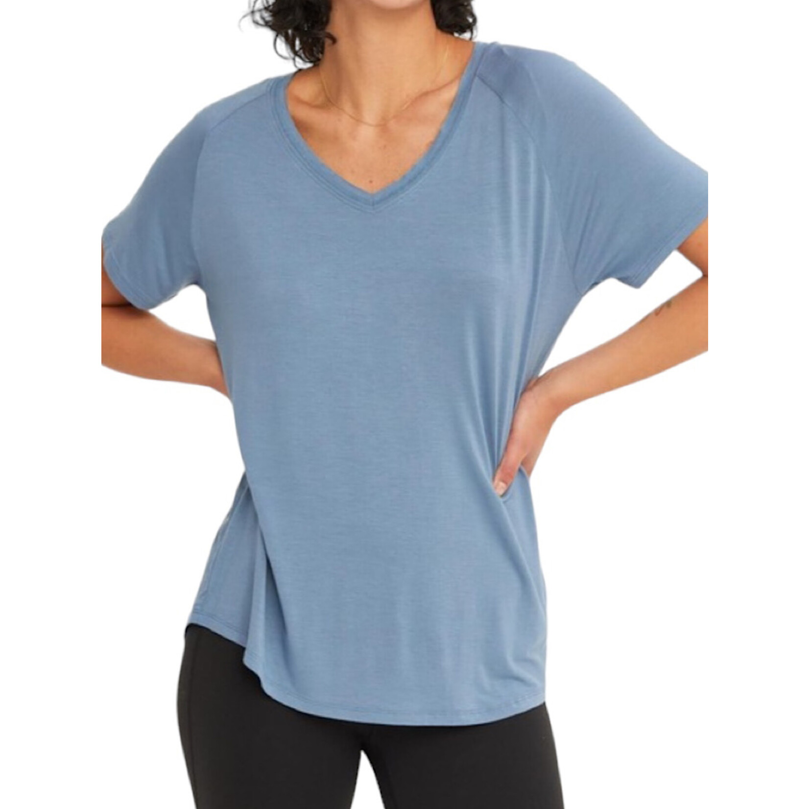 Gray Blue V-Neck Basic Short Sleeve Top