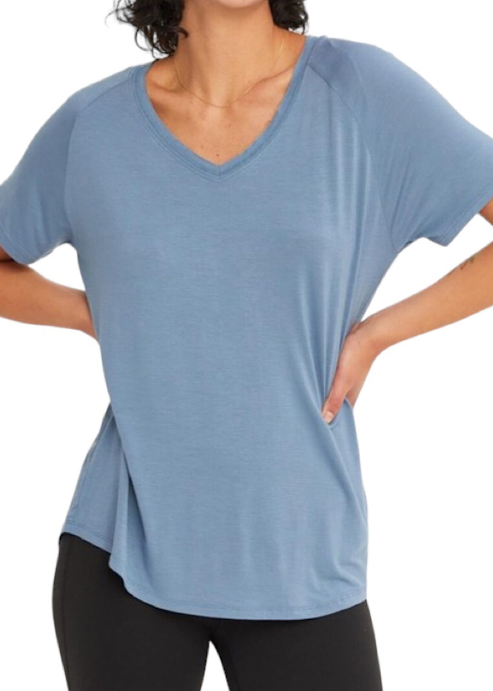 Gray Blue V-Neck Basic Short Sleeve Top
