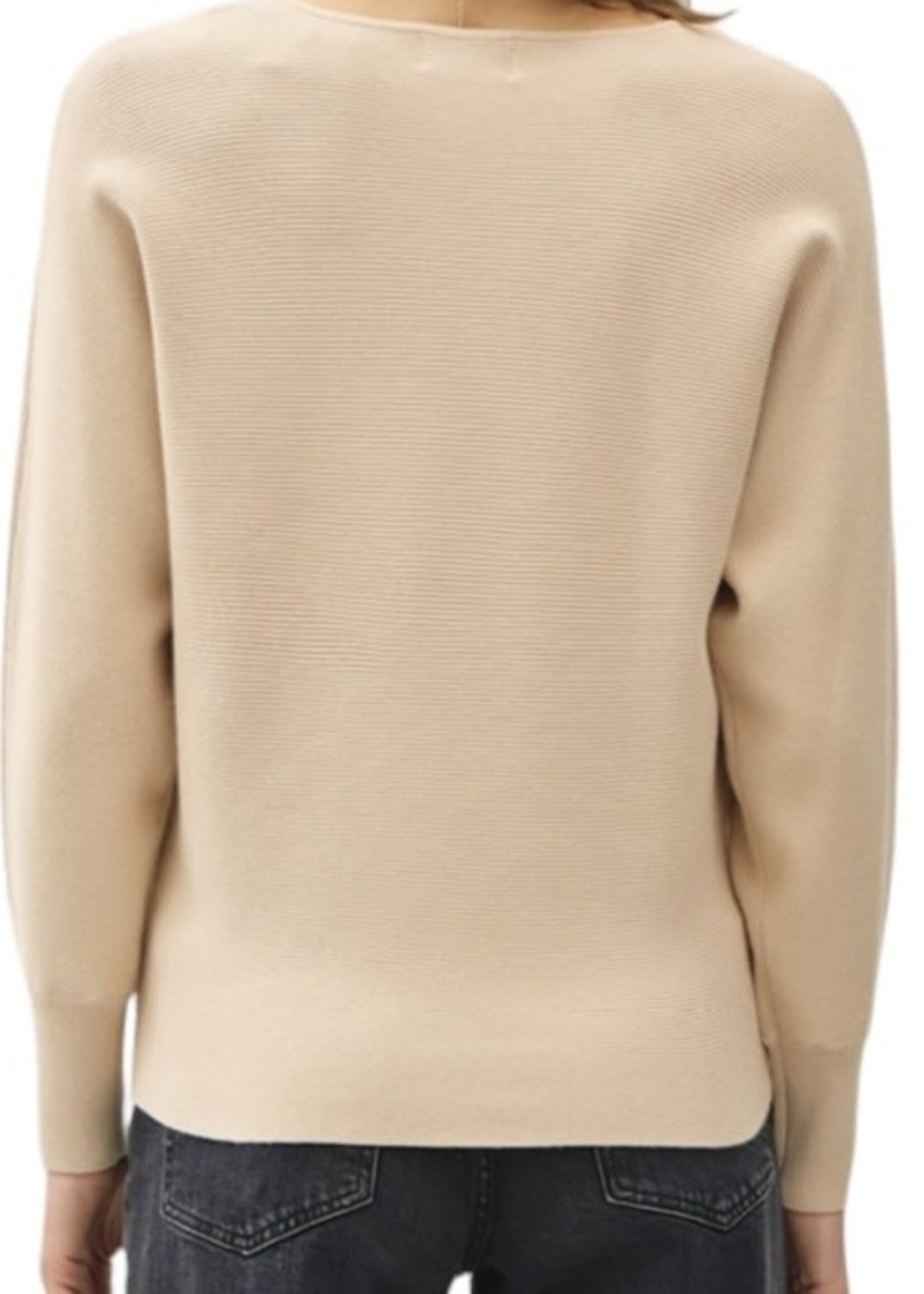 Beige Knit Sweater Top