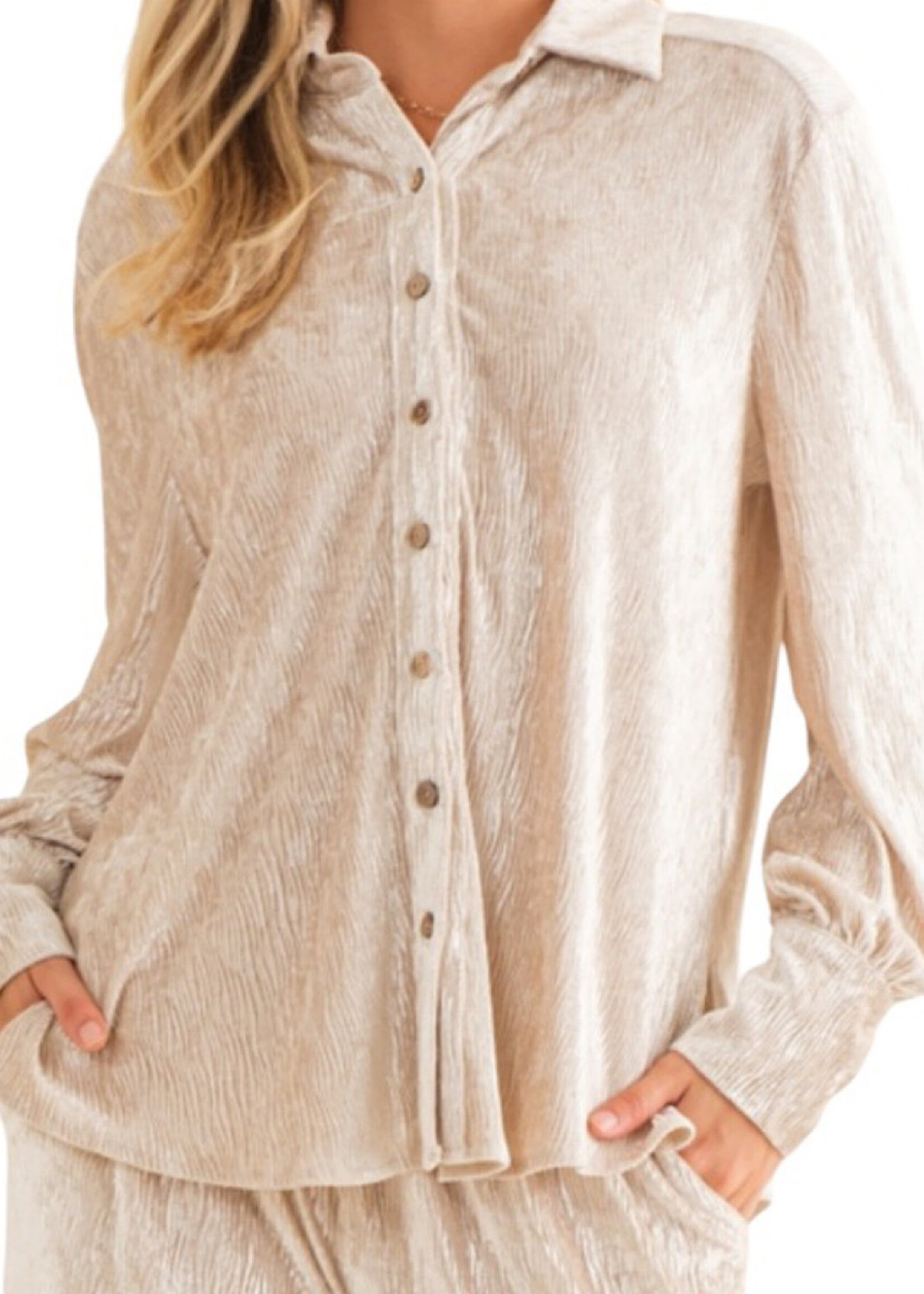 Champagne Velvet Button Down Long Sleeve Top