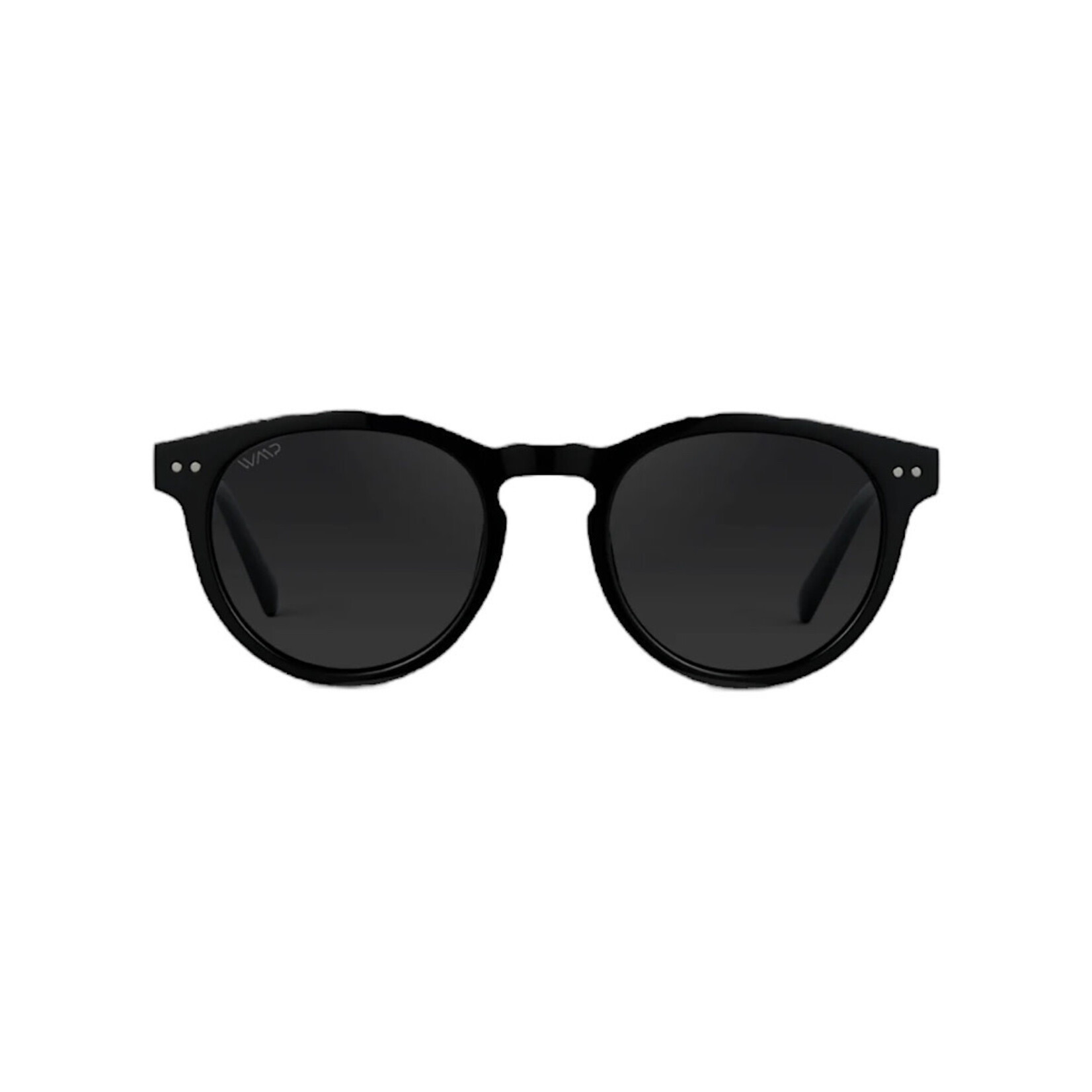 WMP Polarized Black Frame
