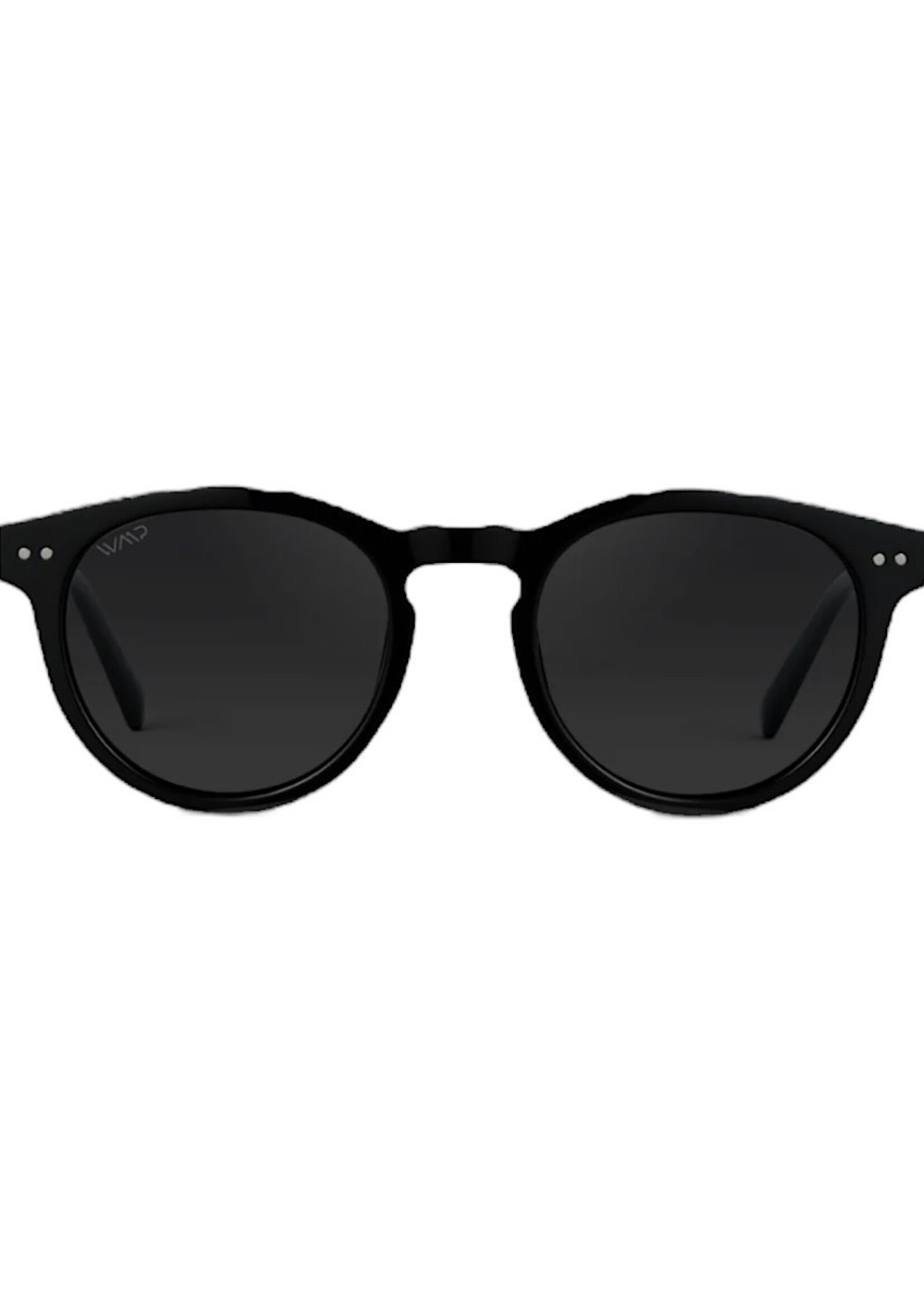 WMP Polarized Black Frame