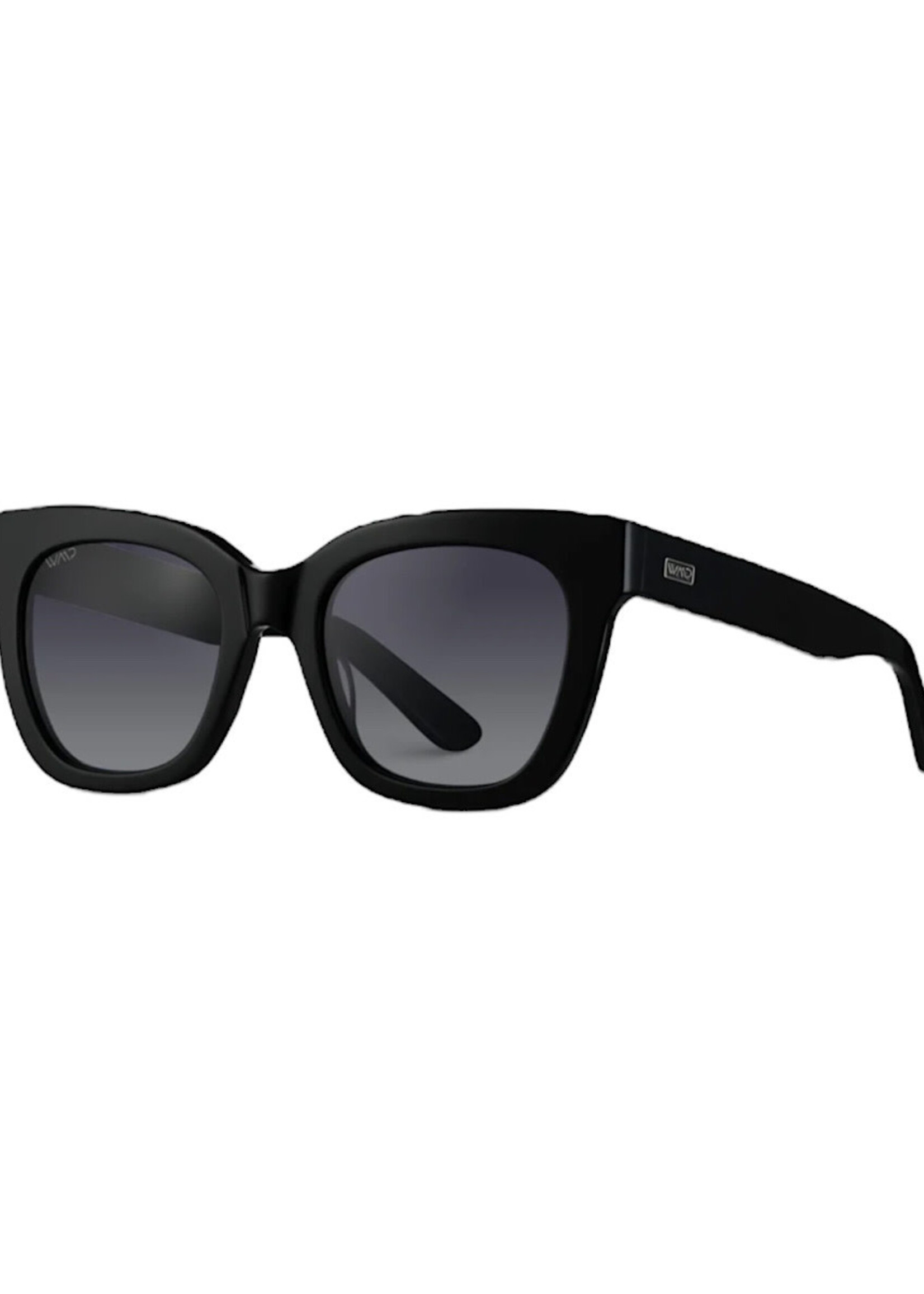 WMP Polarized Glossy Black