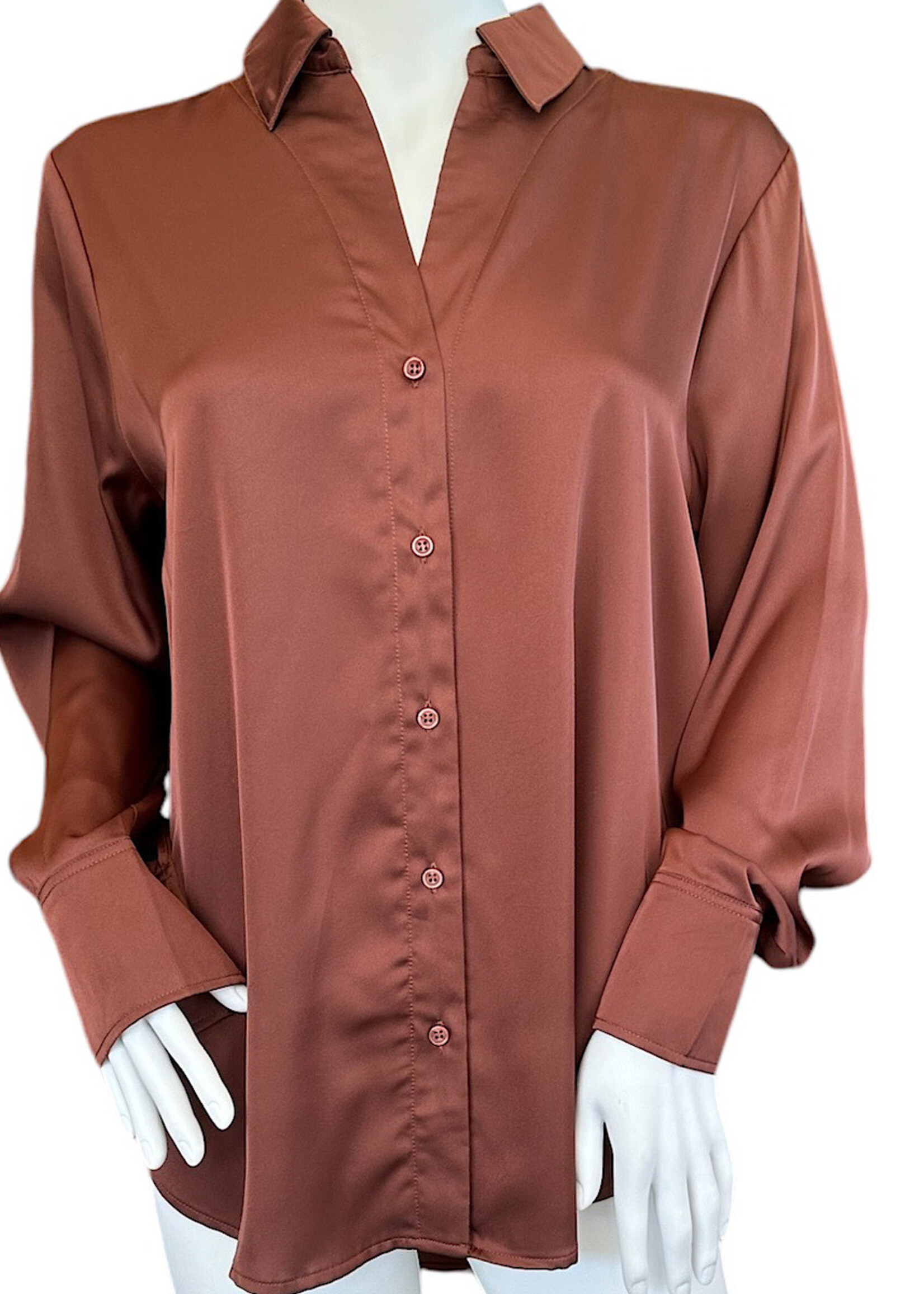 Chestnut Button Up Satin Blouse