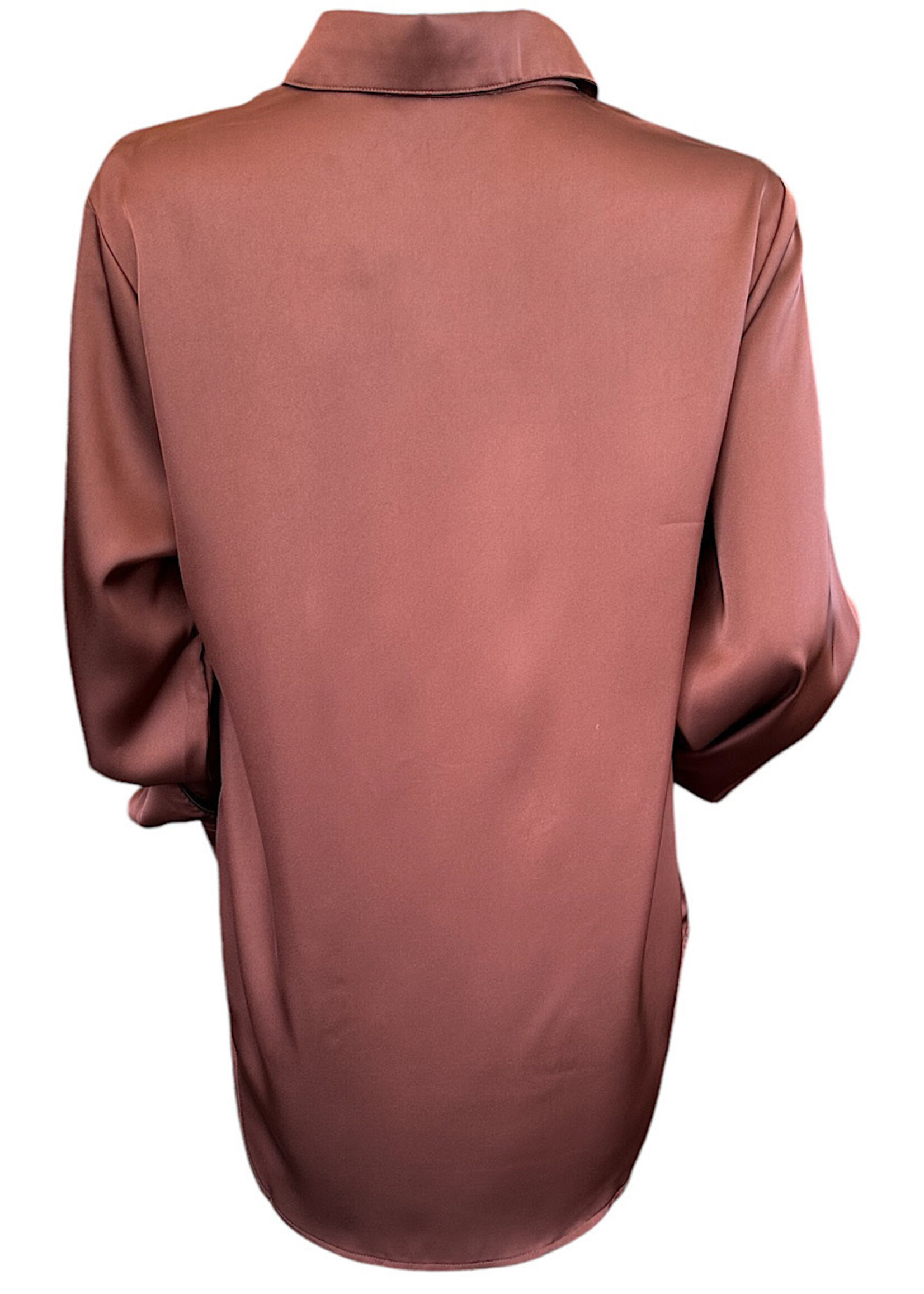 Chestnut Button Up Satin Blouse