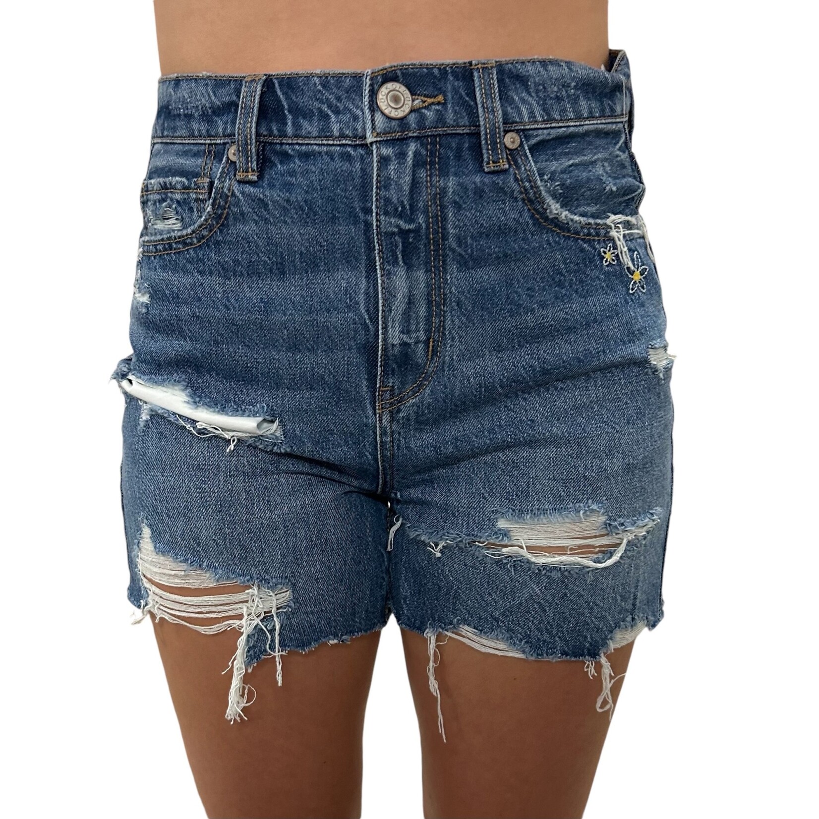 Of Luck High Rise Distressed Short