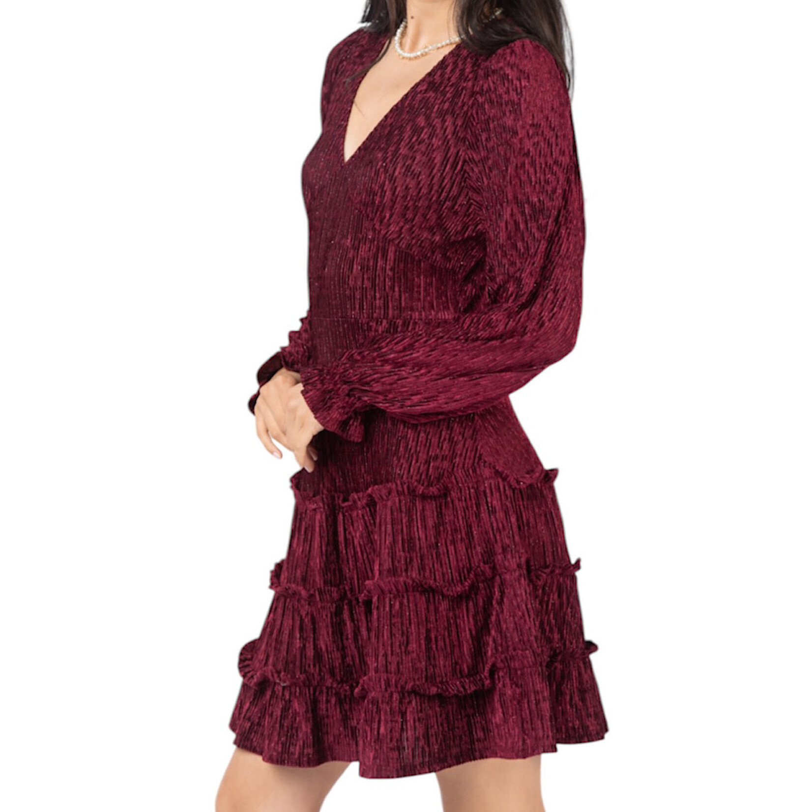 Wine V-Neck Textured Velvet Mini Dress
