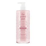 The Potted Plant Hemp Body Lotion 16.9 oz