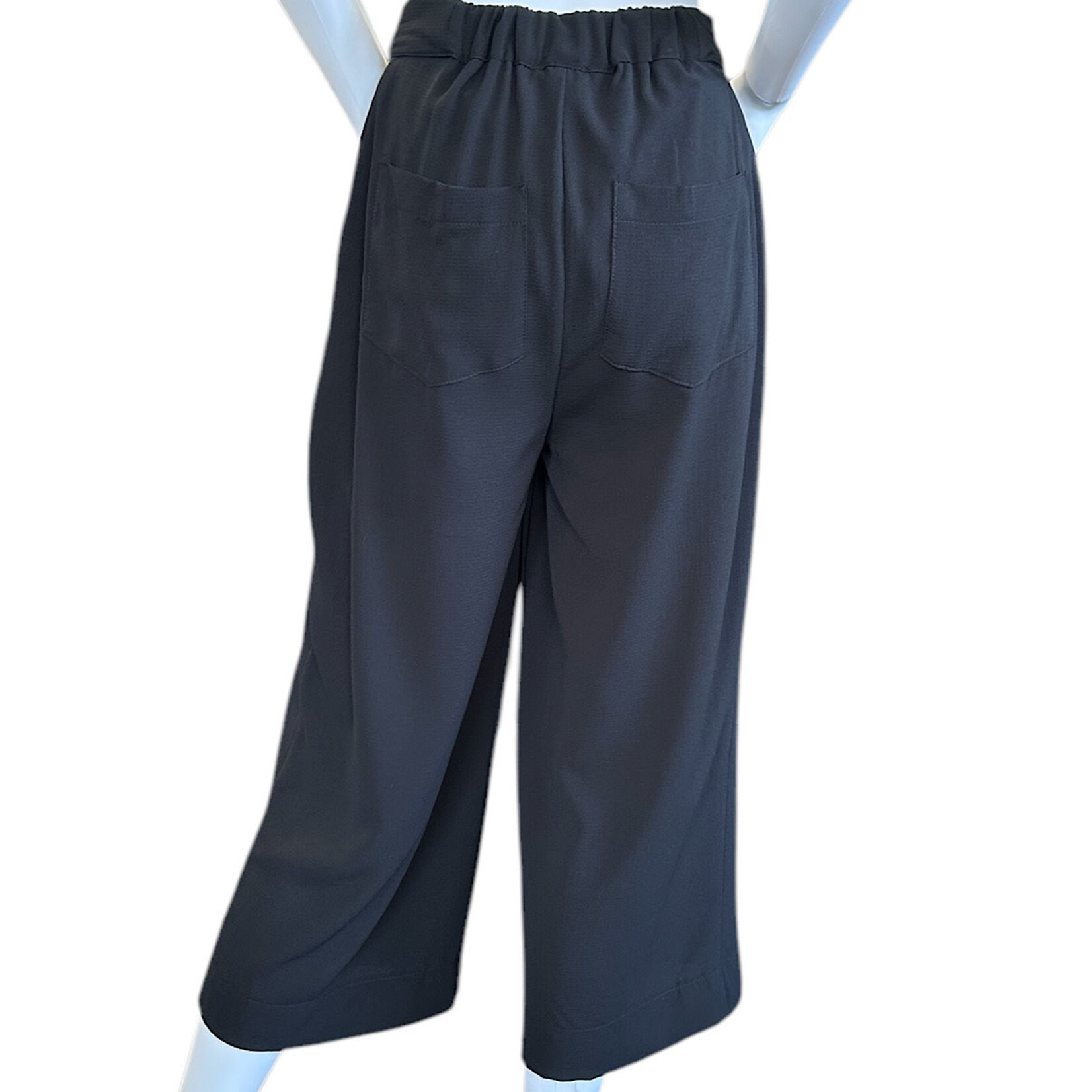 Marisa Crop Pants with Elastic Back