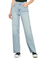 Hidden HD9177D-LT Light Blue Logan H/R Dad Jean