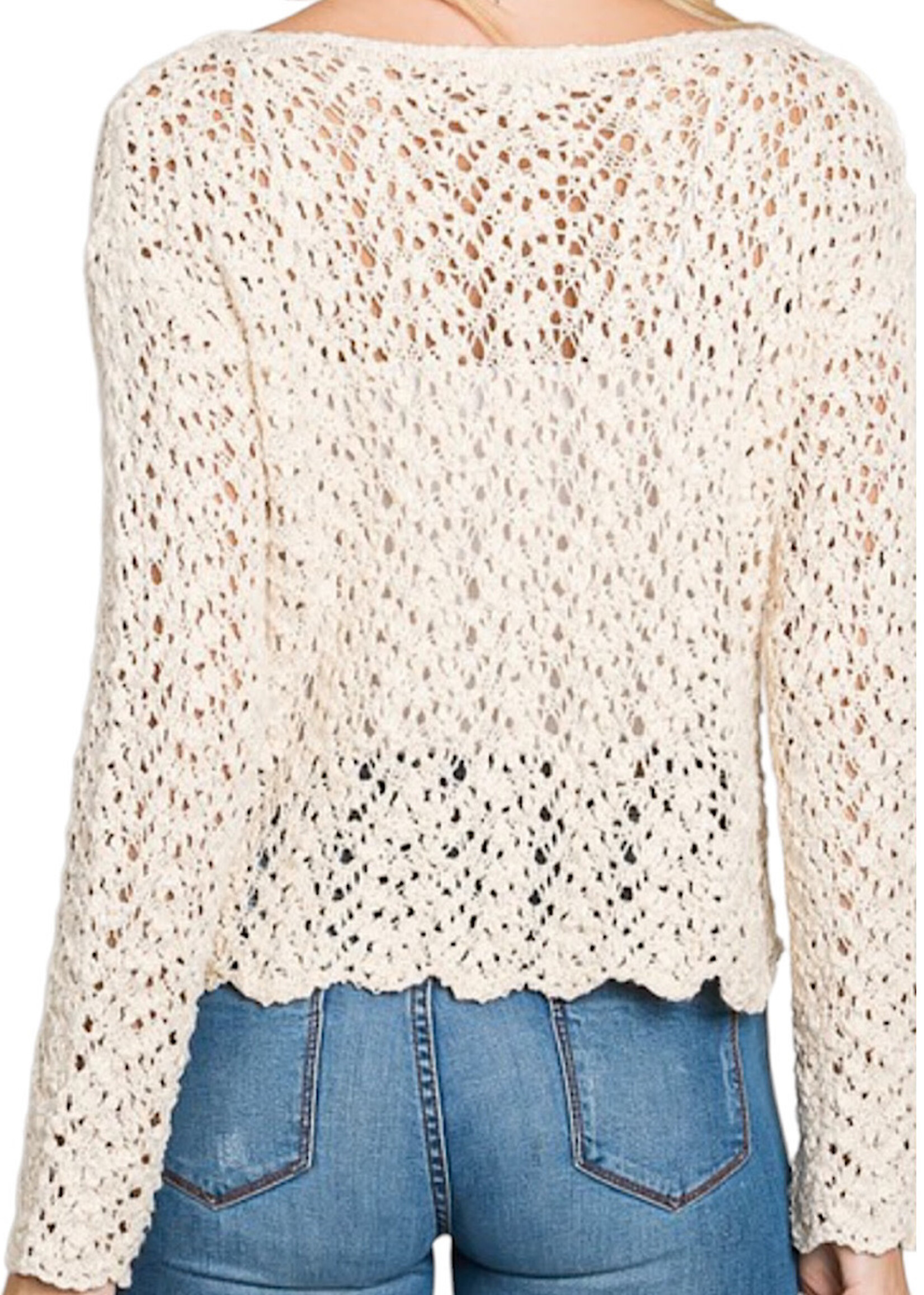 Cream Sheer Cropped Sweater Top