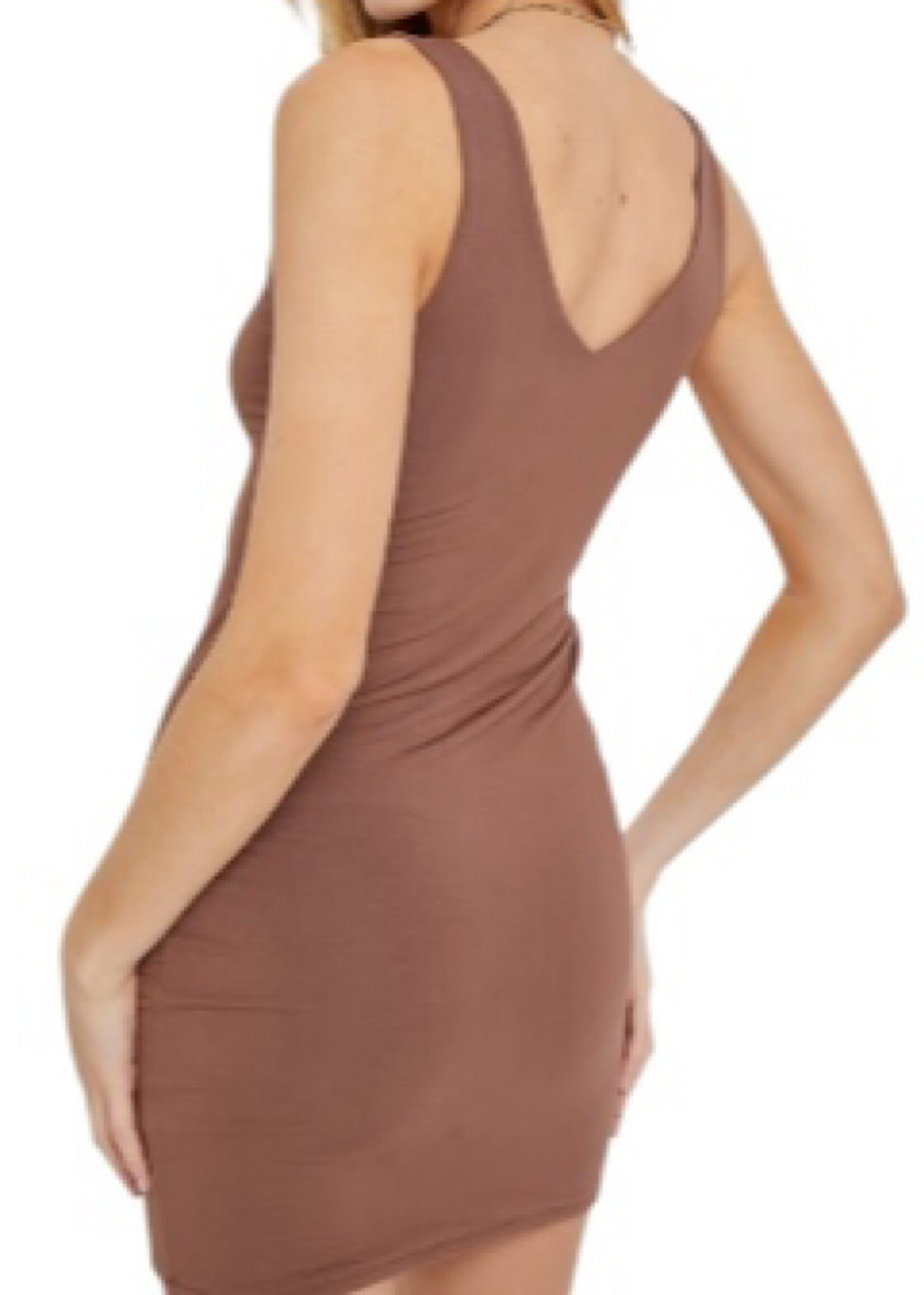 Brown Basic Sleeveless V Neck Knit Mini Dress
