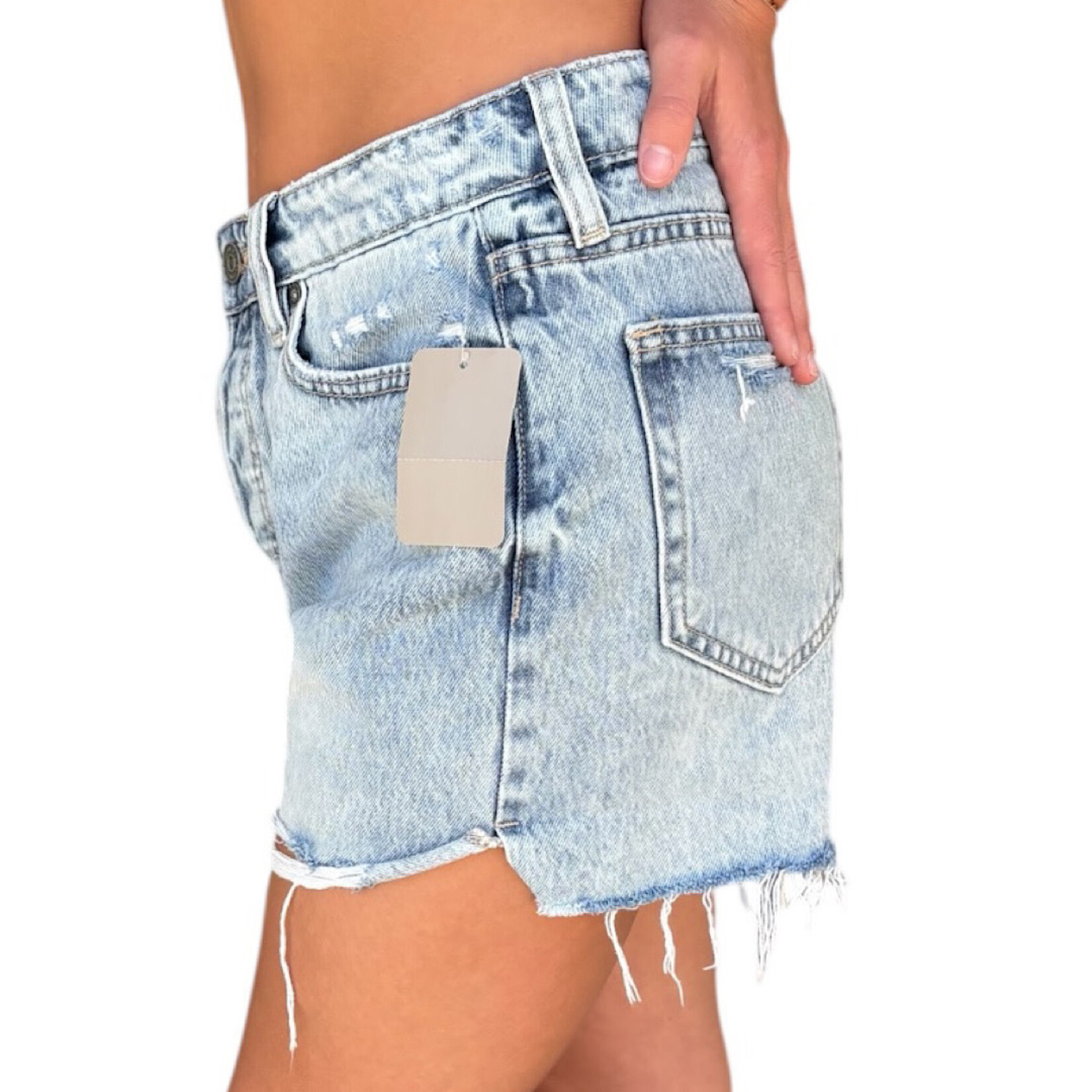 Hidden Hidden Frayed Light Washed Shorts