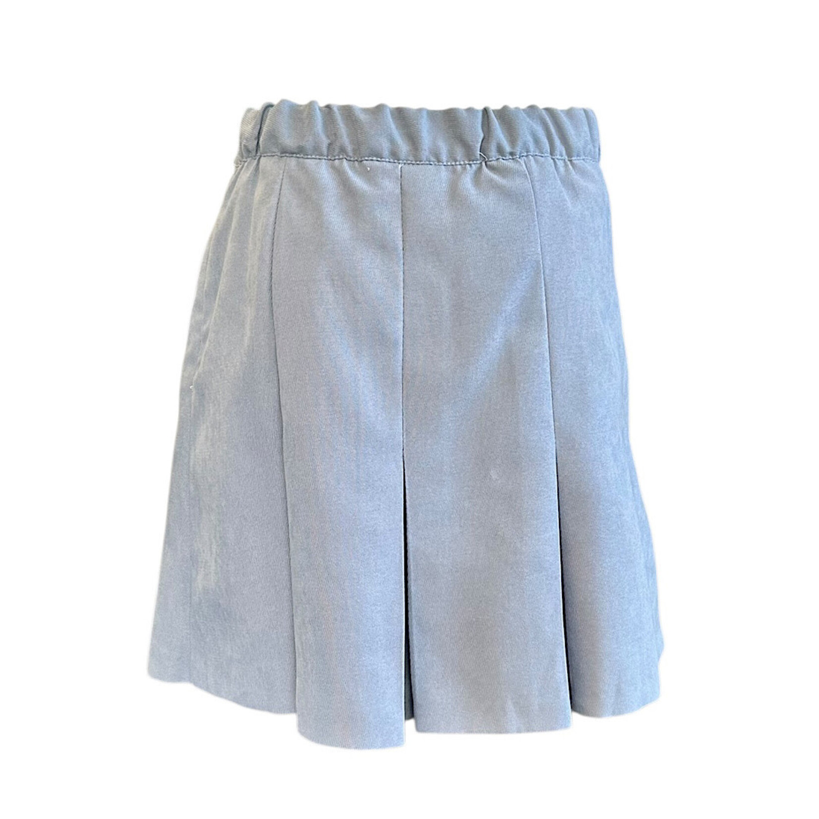 Sky Pleated Skirt