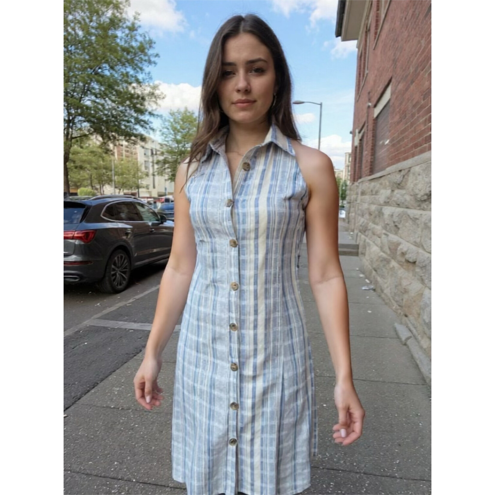 Blue Striped Sleeveless Button Down Dress